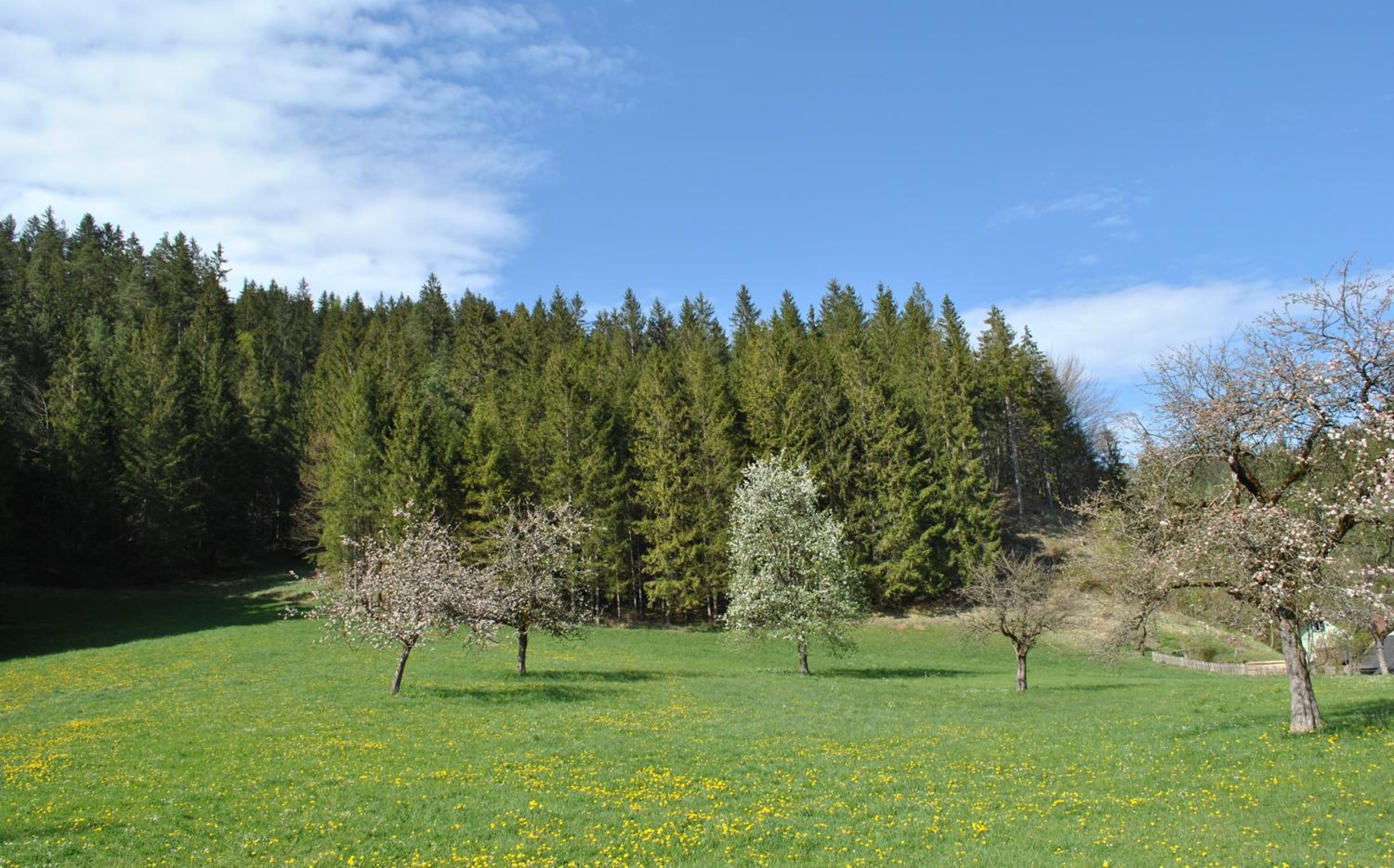 Ferienwohnung Leitner