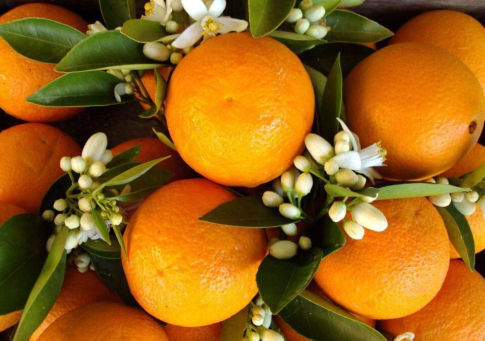 Epicenter Lujoso apto Parking gratis Perfecta ubicación photo 3