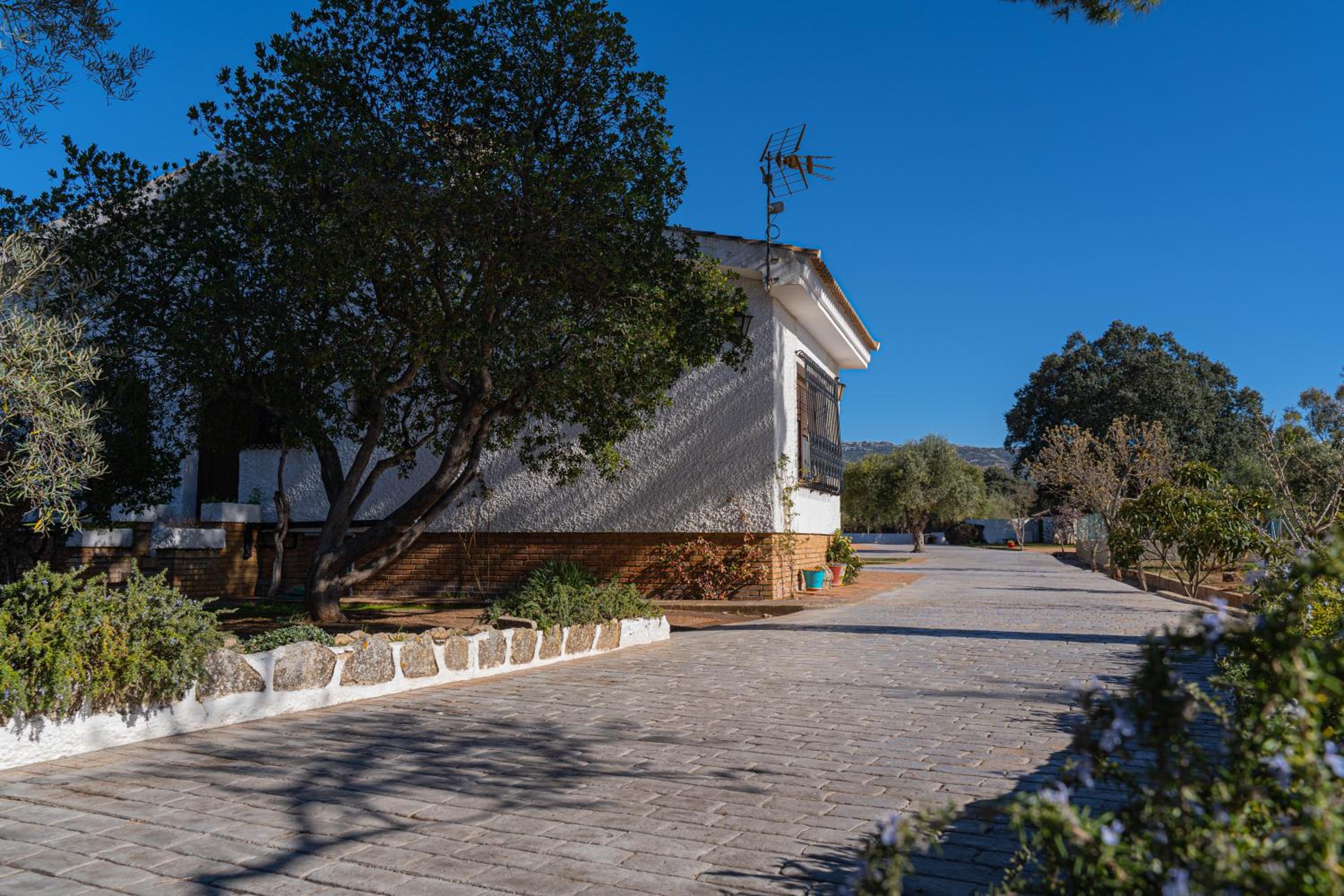 Recreo San Andrés