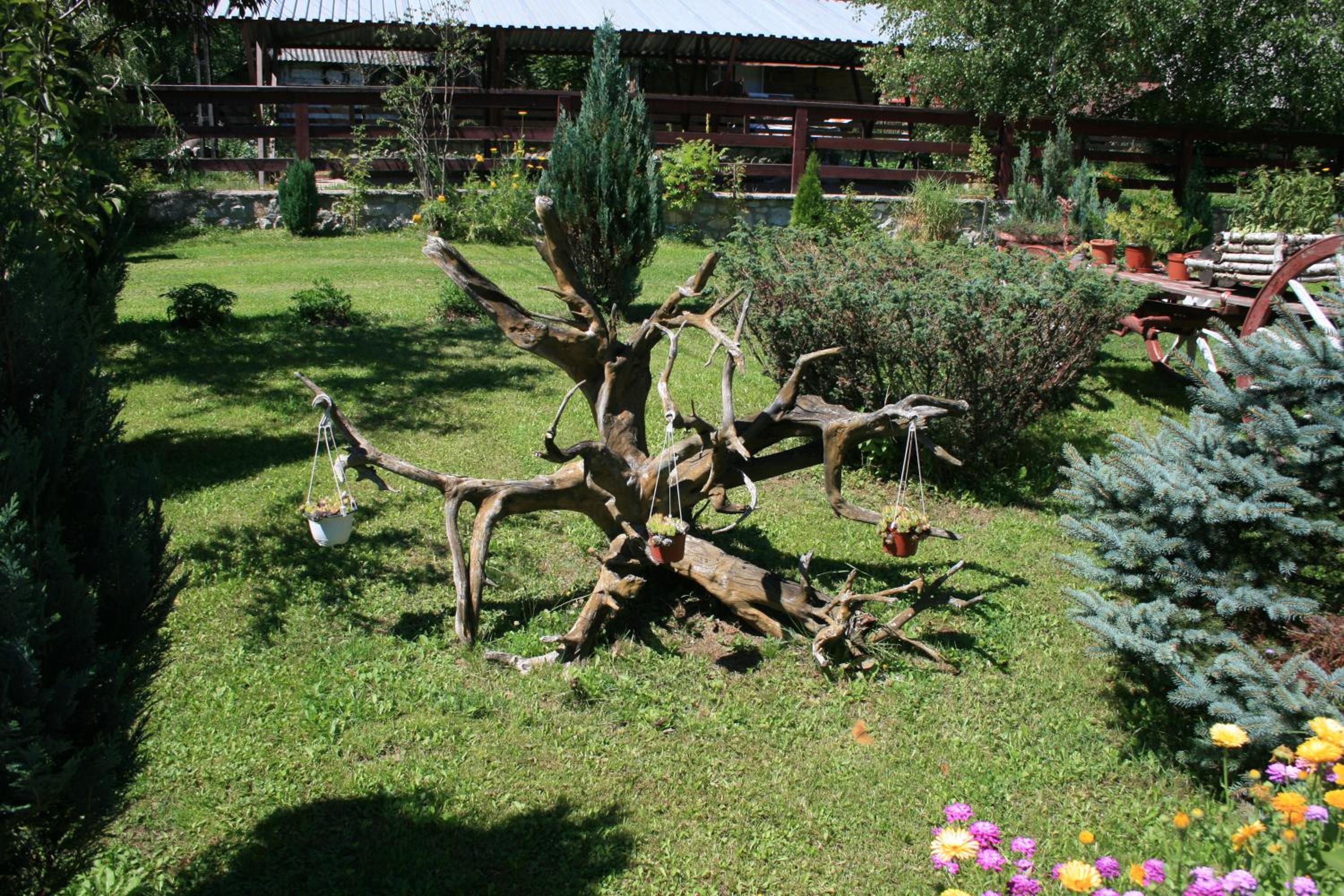 Photo 25