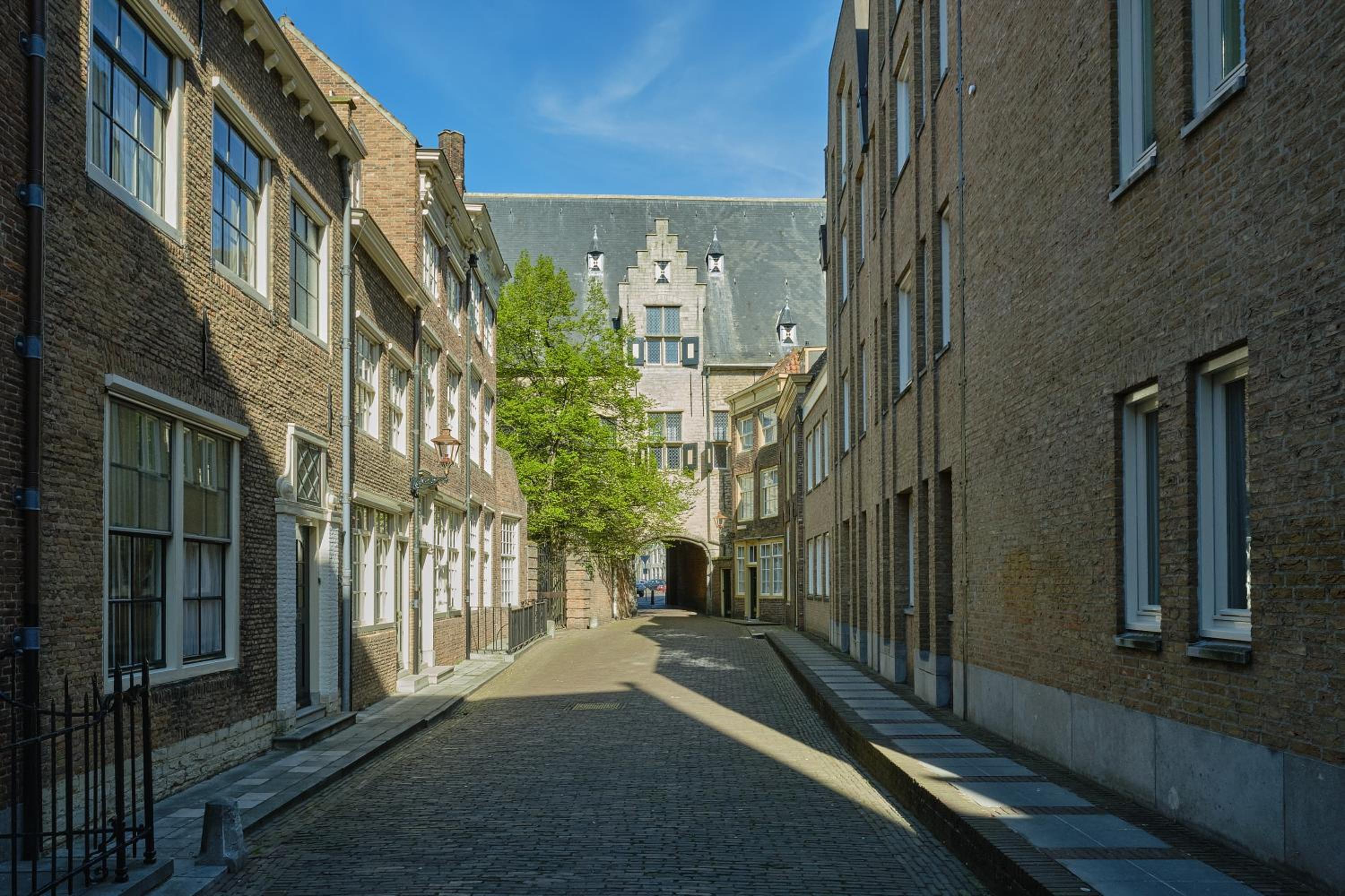 Photo 41