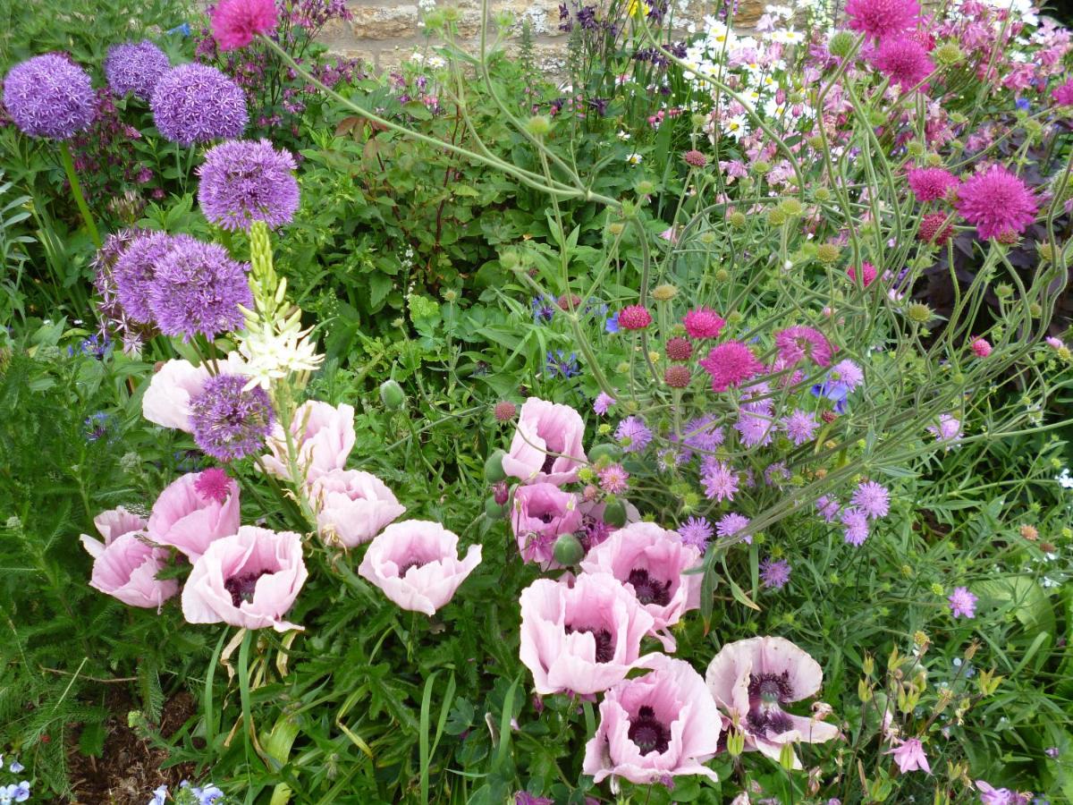 Hall Farm Bed & Breakfast