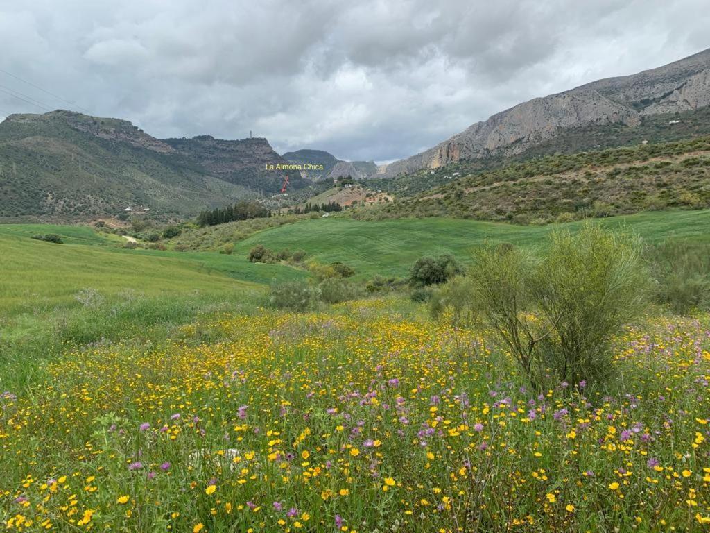 La Casilla- La Almona Chica view 3