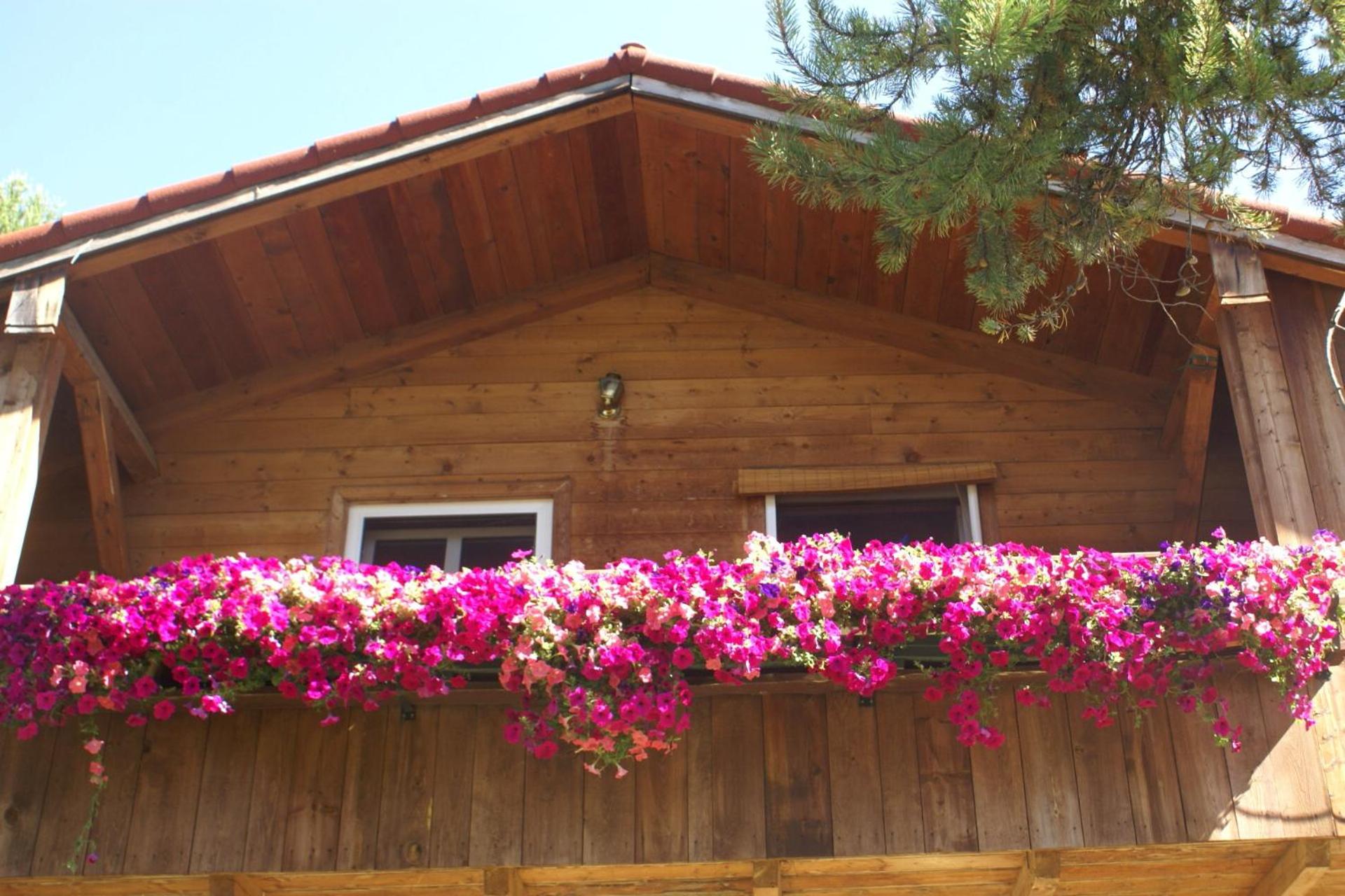 Alpenglow Bed and Breakfast