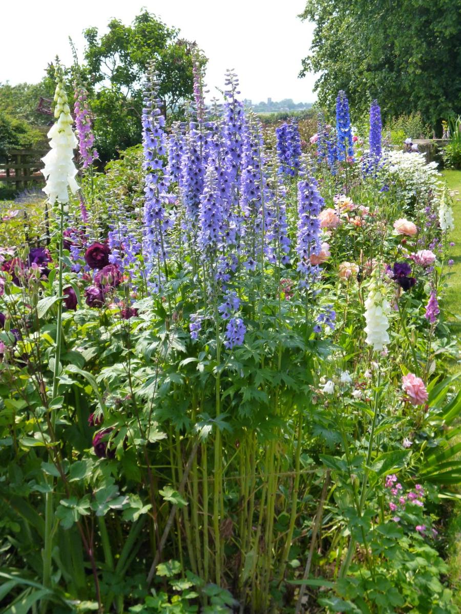 Hall Farm Bed & Breakfast