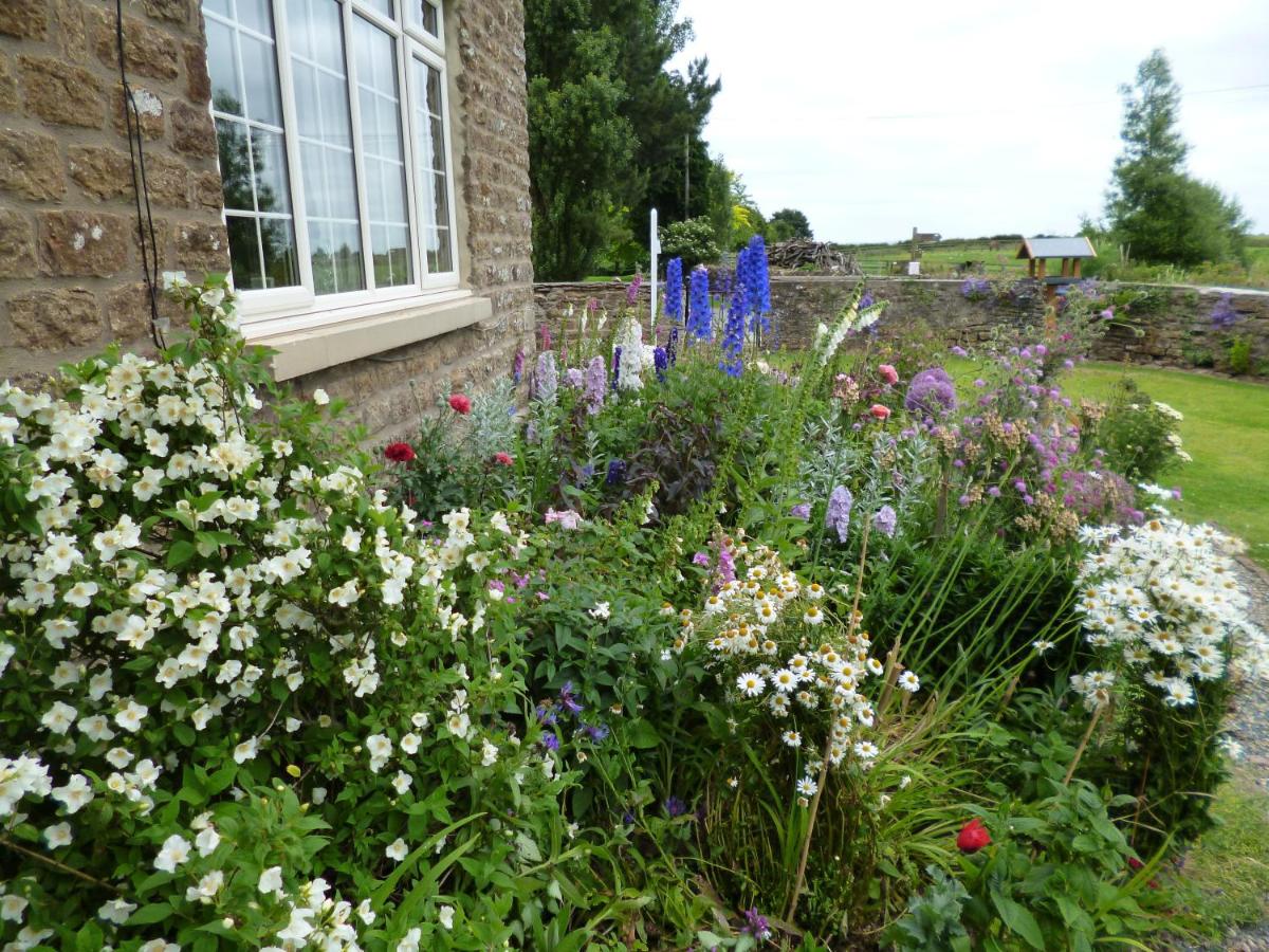 Hall Farm Bed & Breakfast