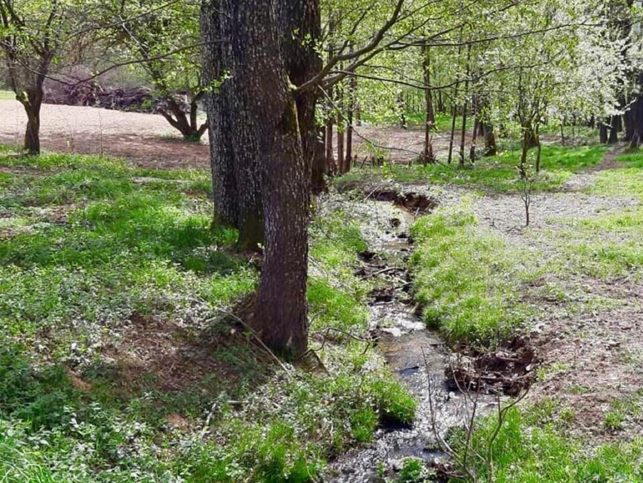 Steinbühler Hof - Stressfrei am Lande