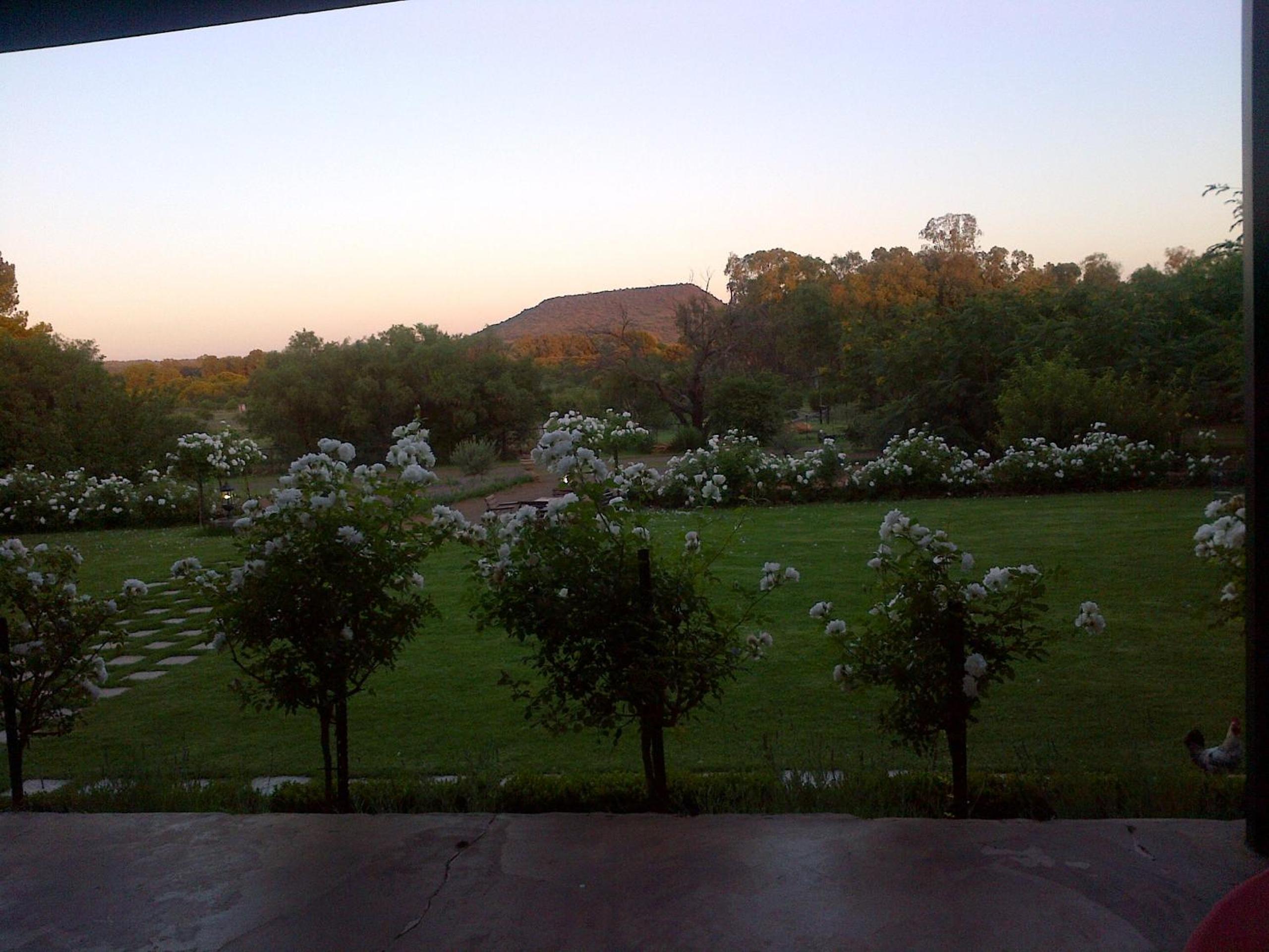 Photo 28