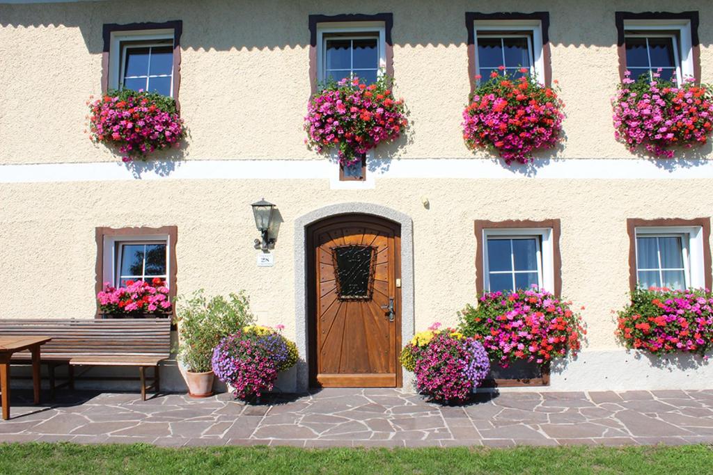 Plombergbauer
