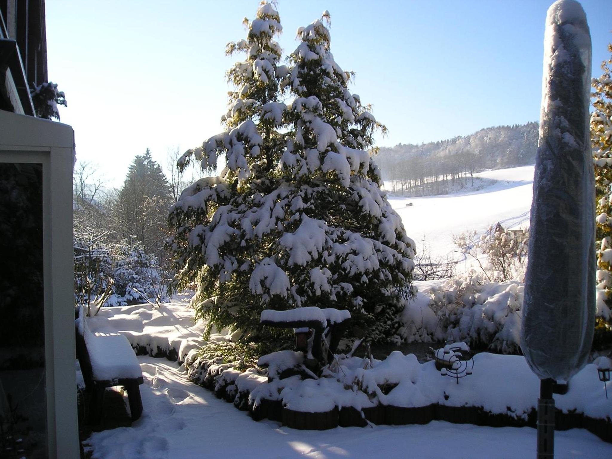 Ferienhüsli 1.OG mit Terrasse