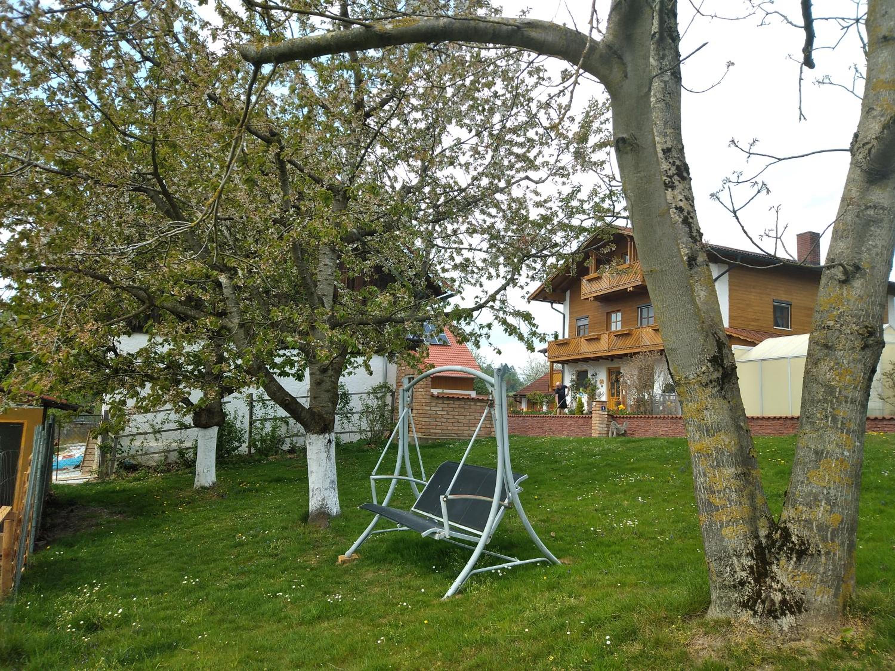 Photo 7