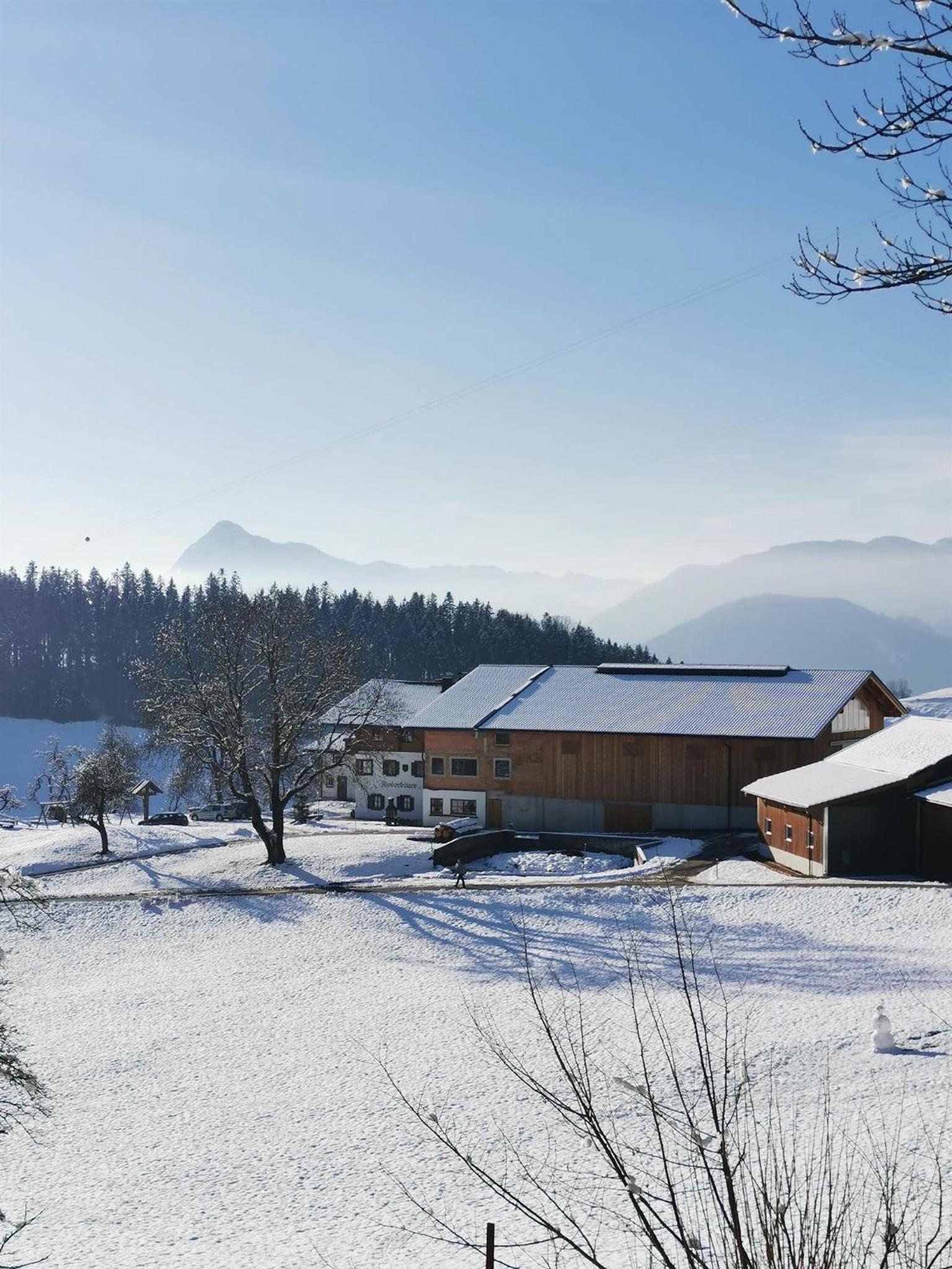 Biobauernhof und Ferienhaus Riederbauer