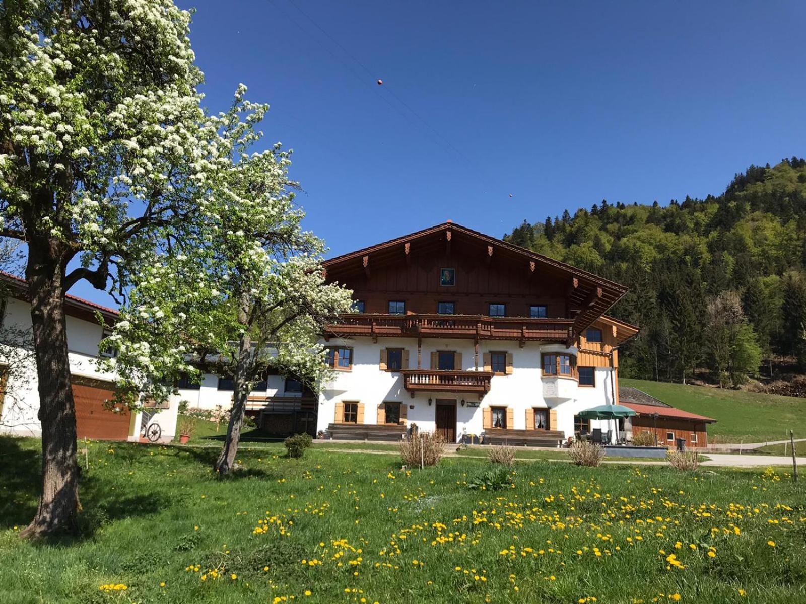 Biobauernhof und Ferienhaus Riederbauer