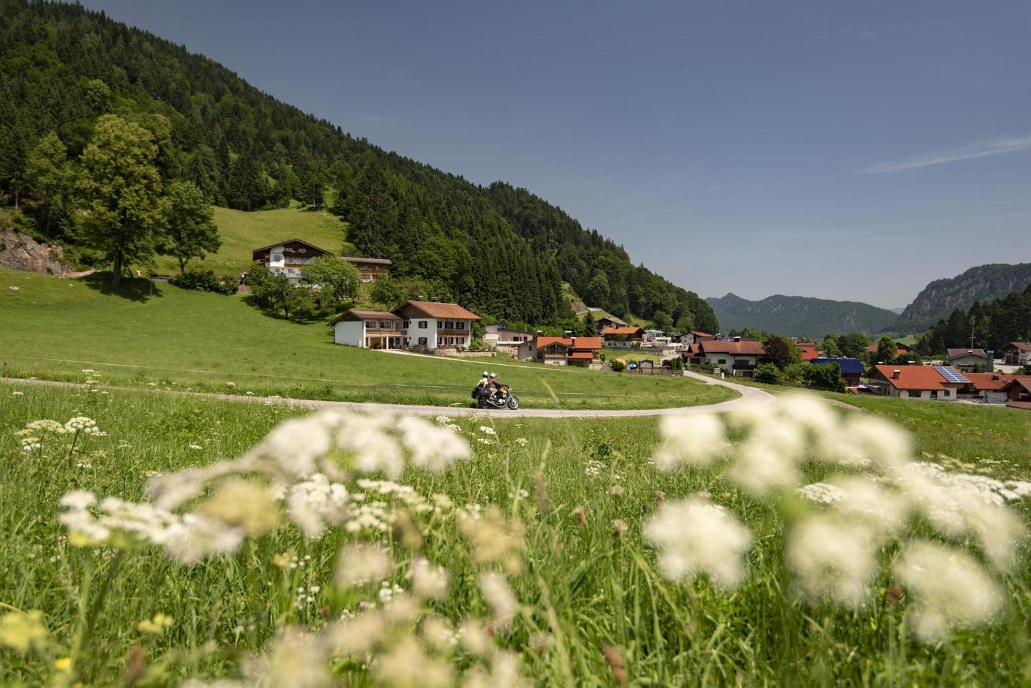 Biobauernhof und Ferienhaus Riederbauer