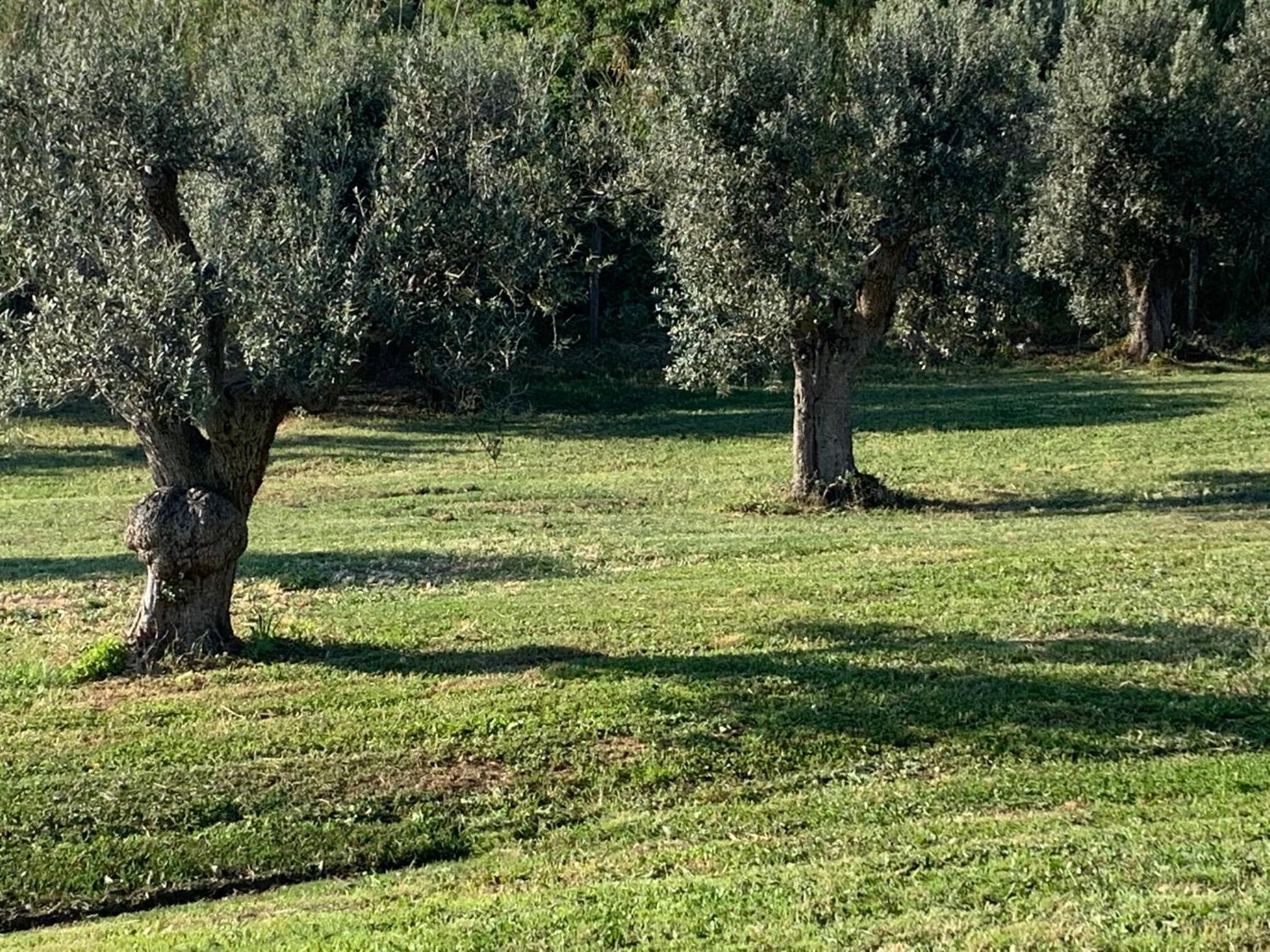 Relais dei Molini - Villa dei Molini