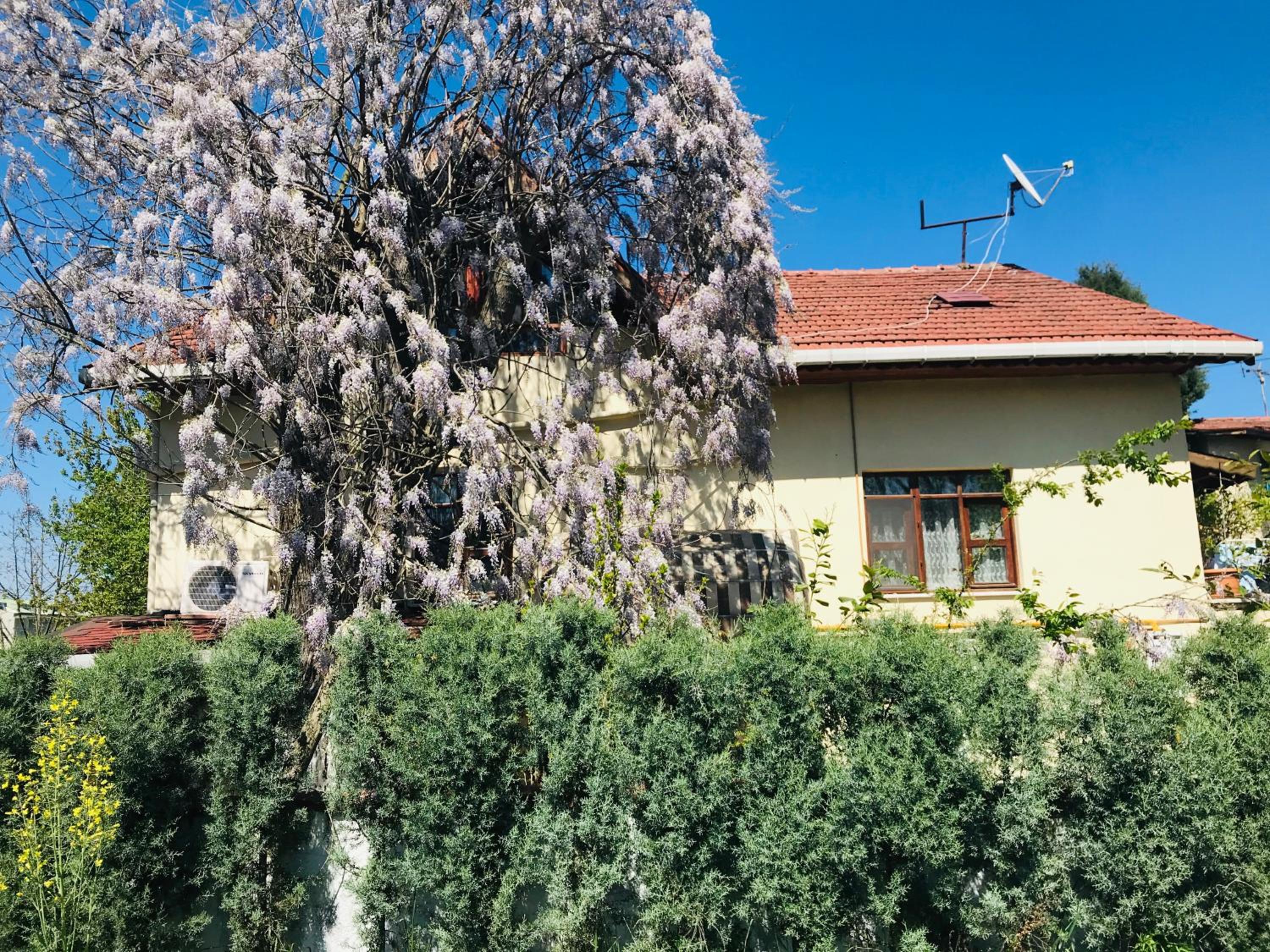 Eren Villa