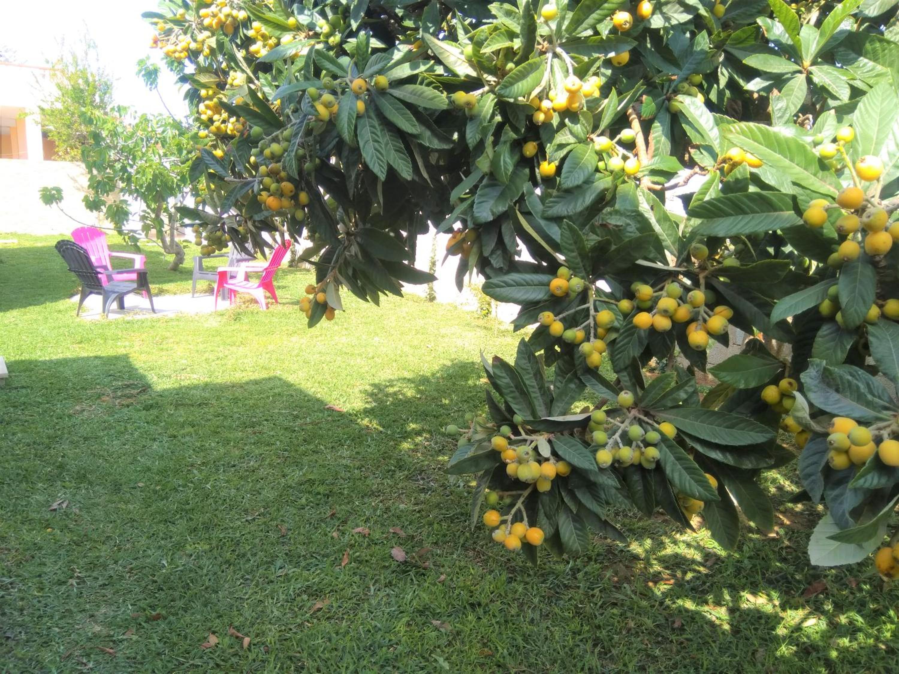 Photo 16