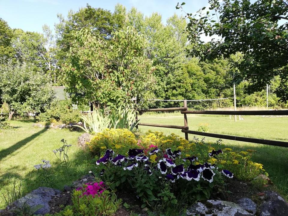 Photo 29