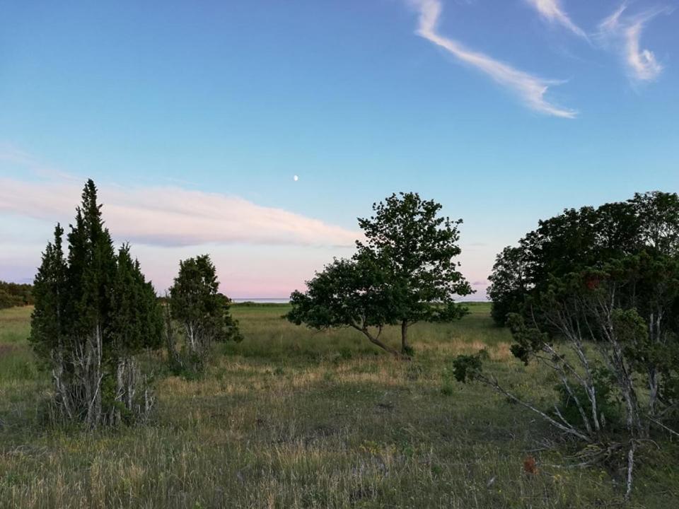 Photo 30
