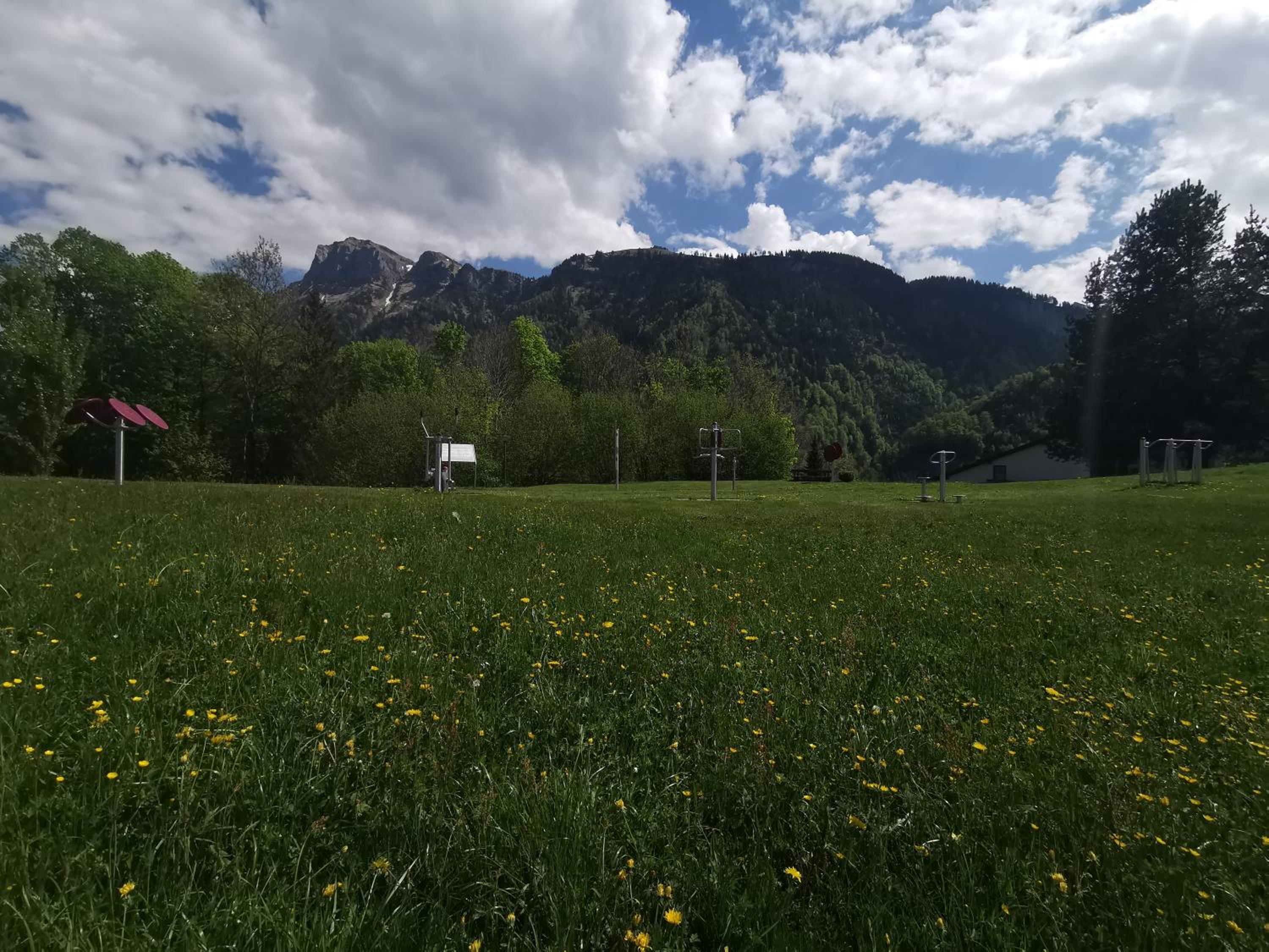 BellaVista