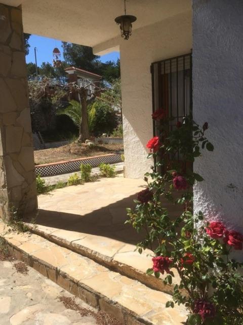 Photo 33