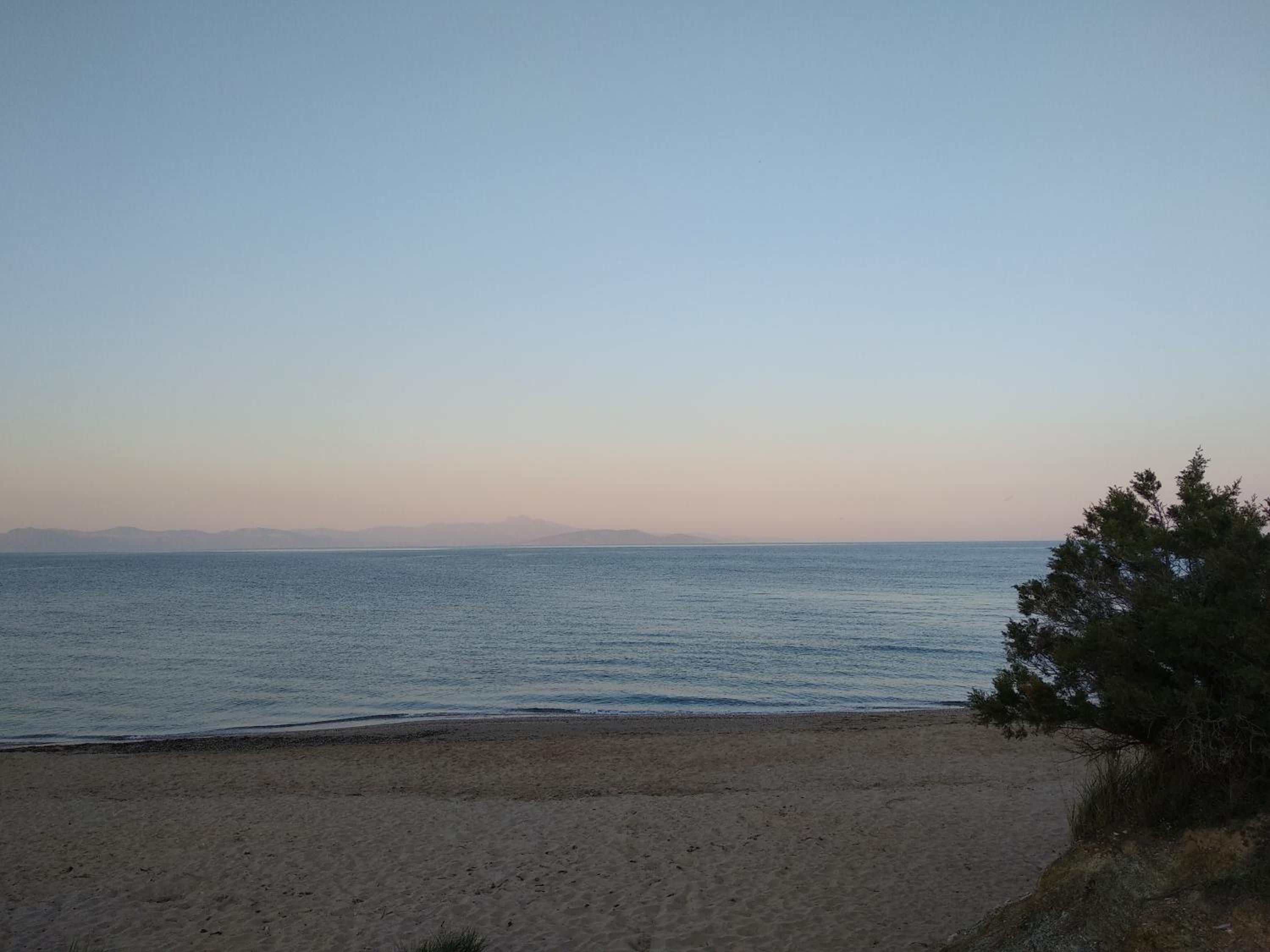 Photo 50