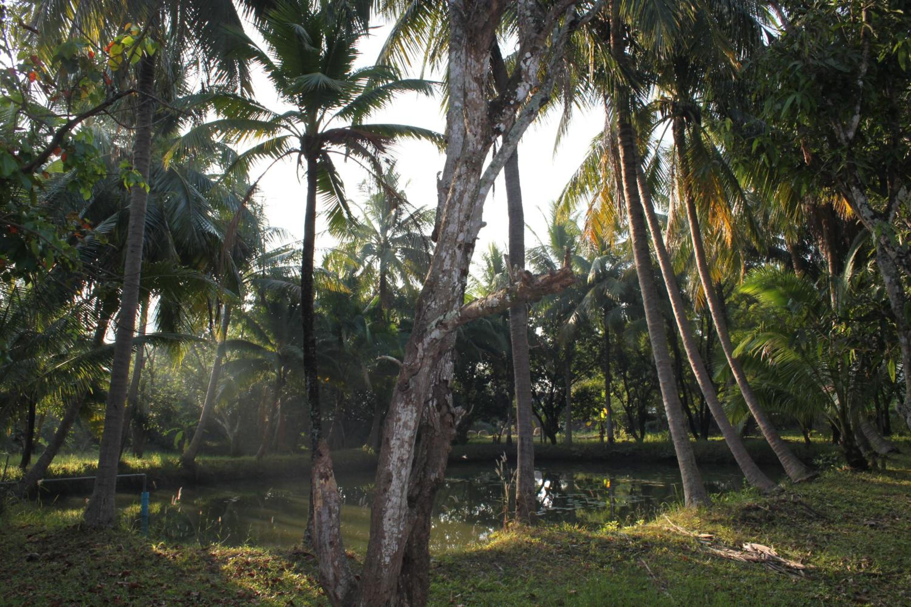 Photo 43