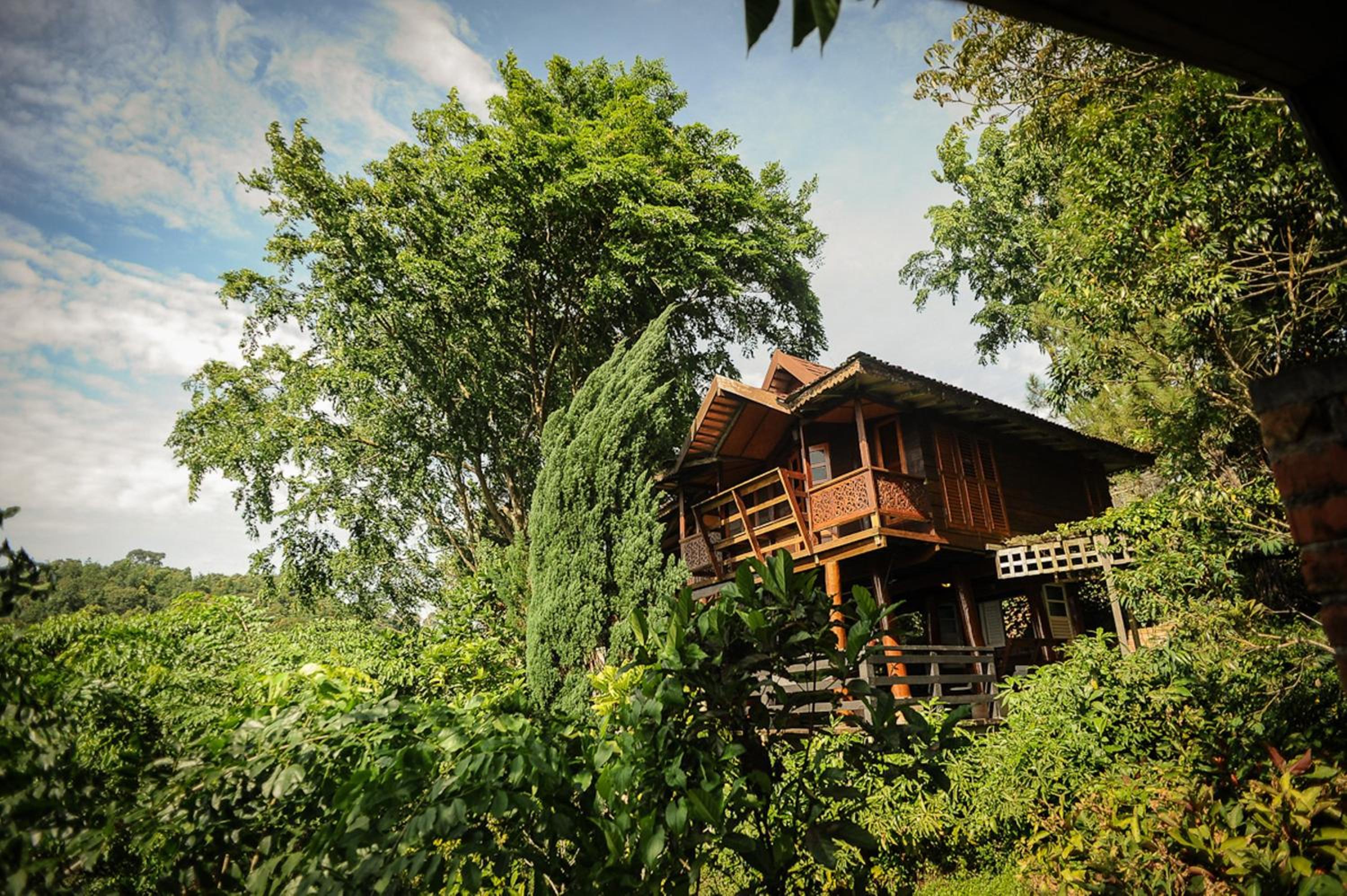 MaliHom Private Estate, photo 19