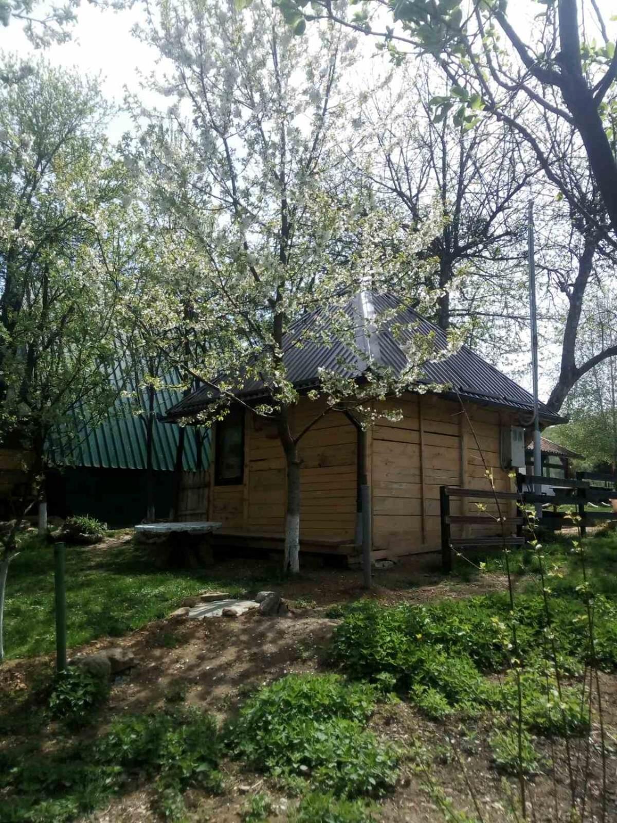 Bungalows Old Town