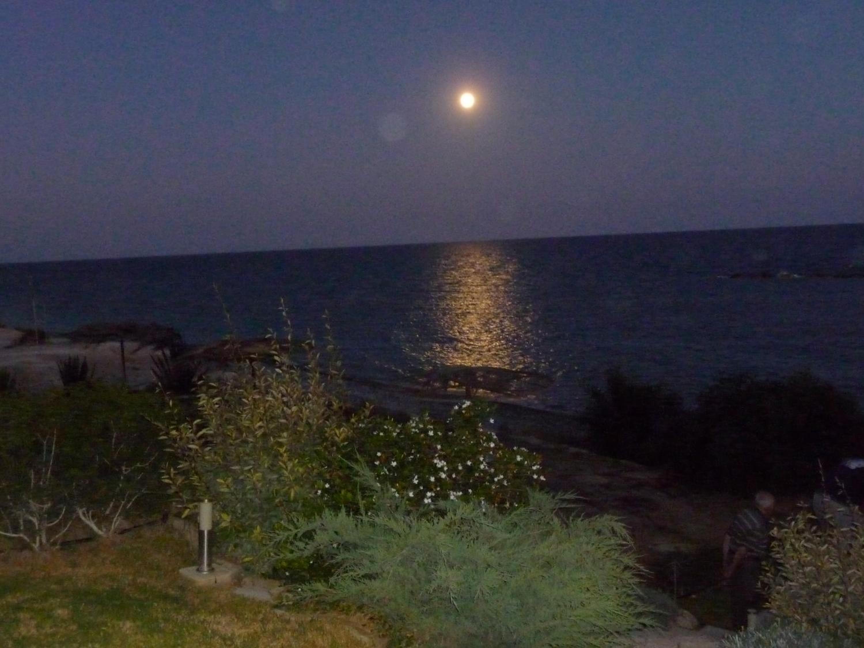 Zygi Beachfront Villa