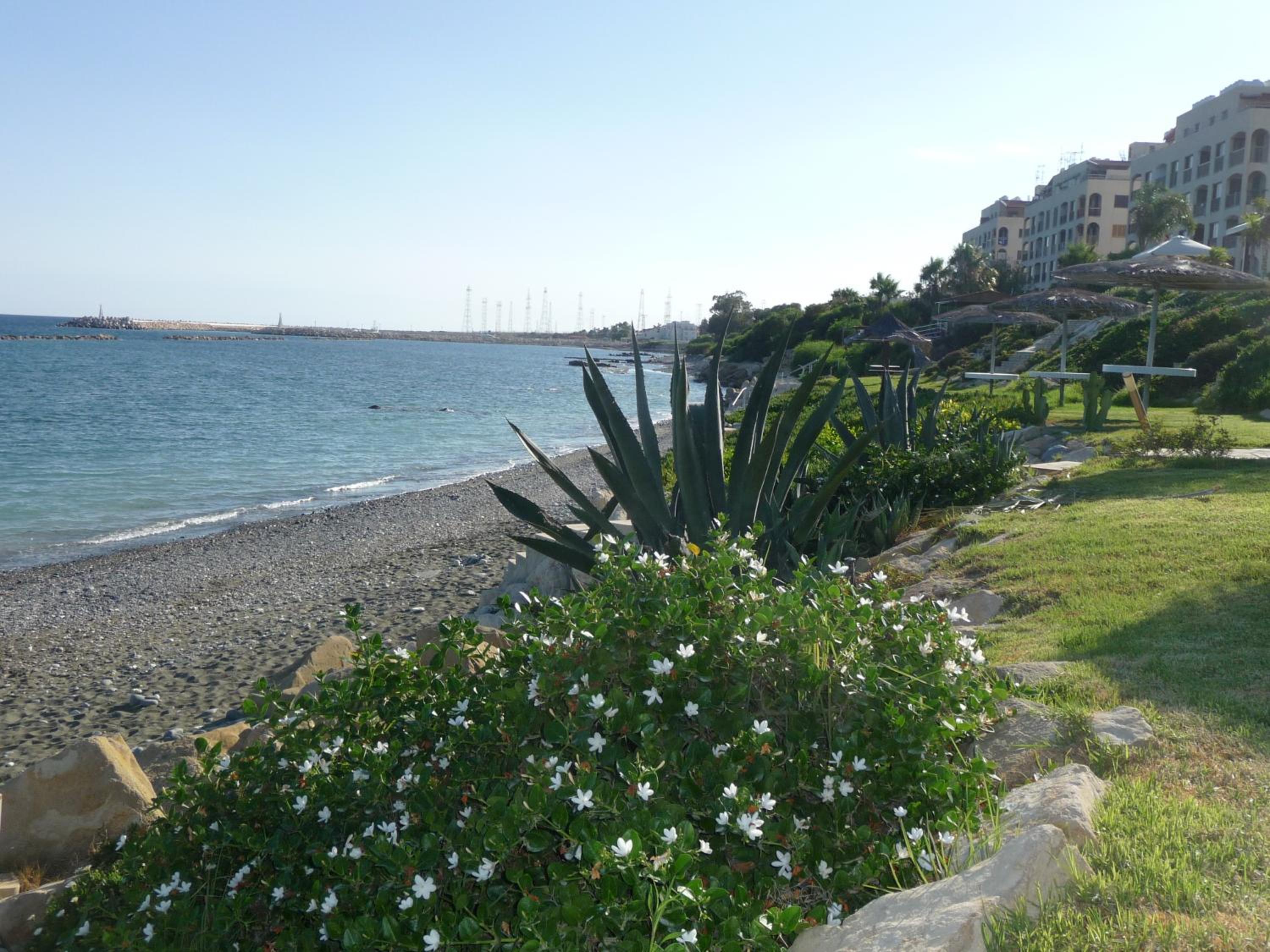 Zygi Beachfront Villa
