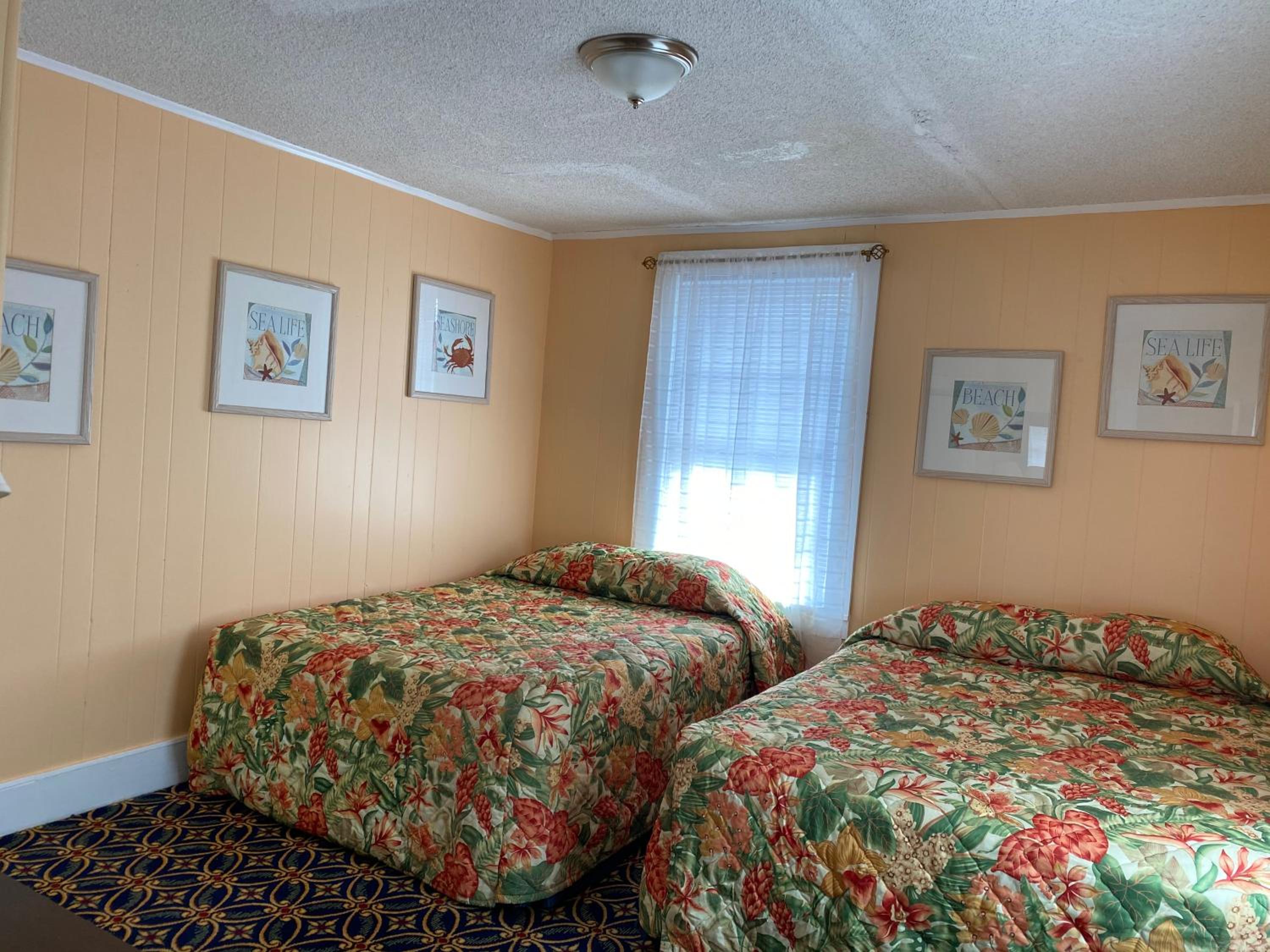 Boardwalk Terrace Apartments