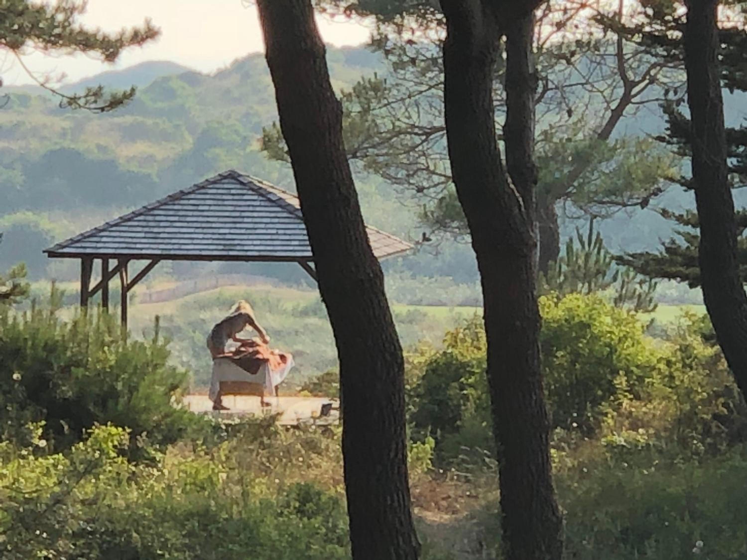 Le Touquet-Paris-Plage Vacations - Le Lodge - Property Image 22