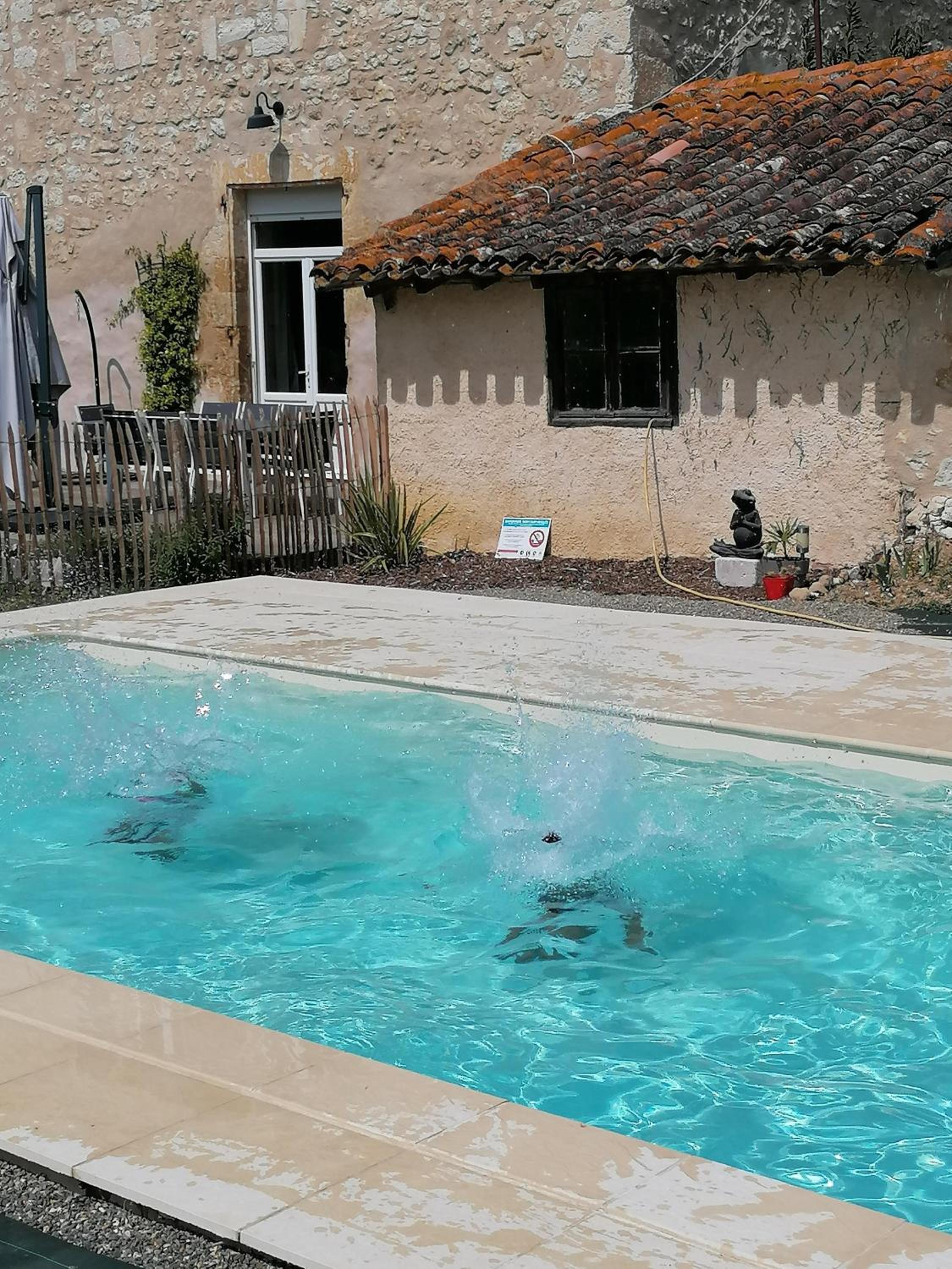 Photo 10