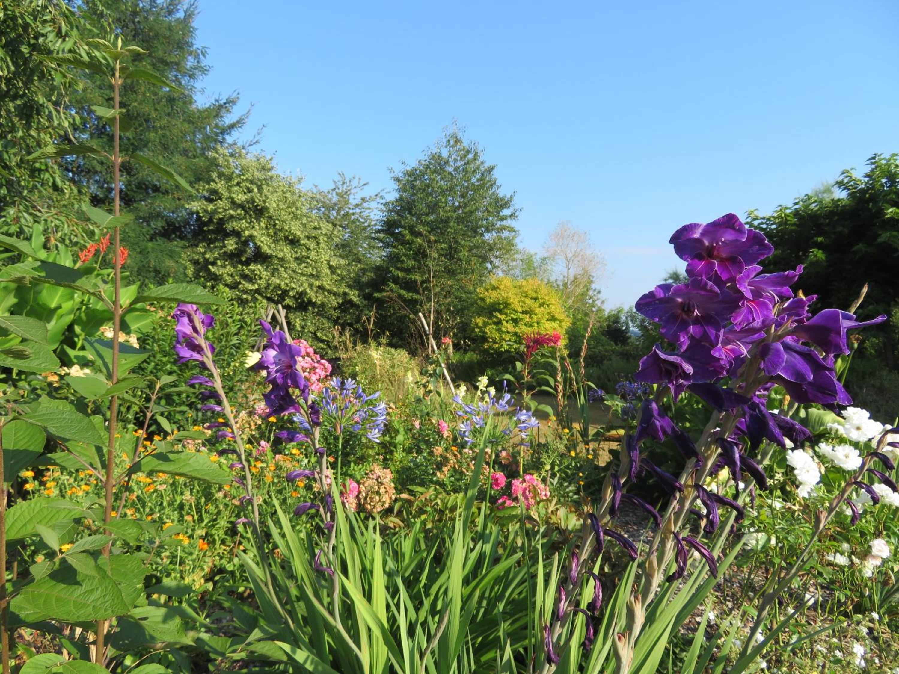 Photo 11