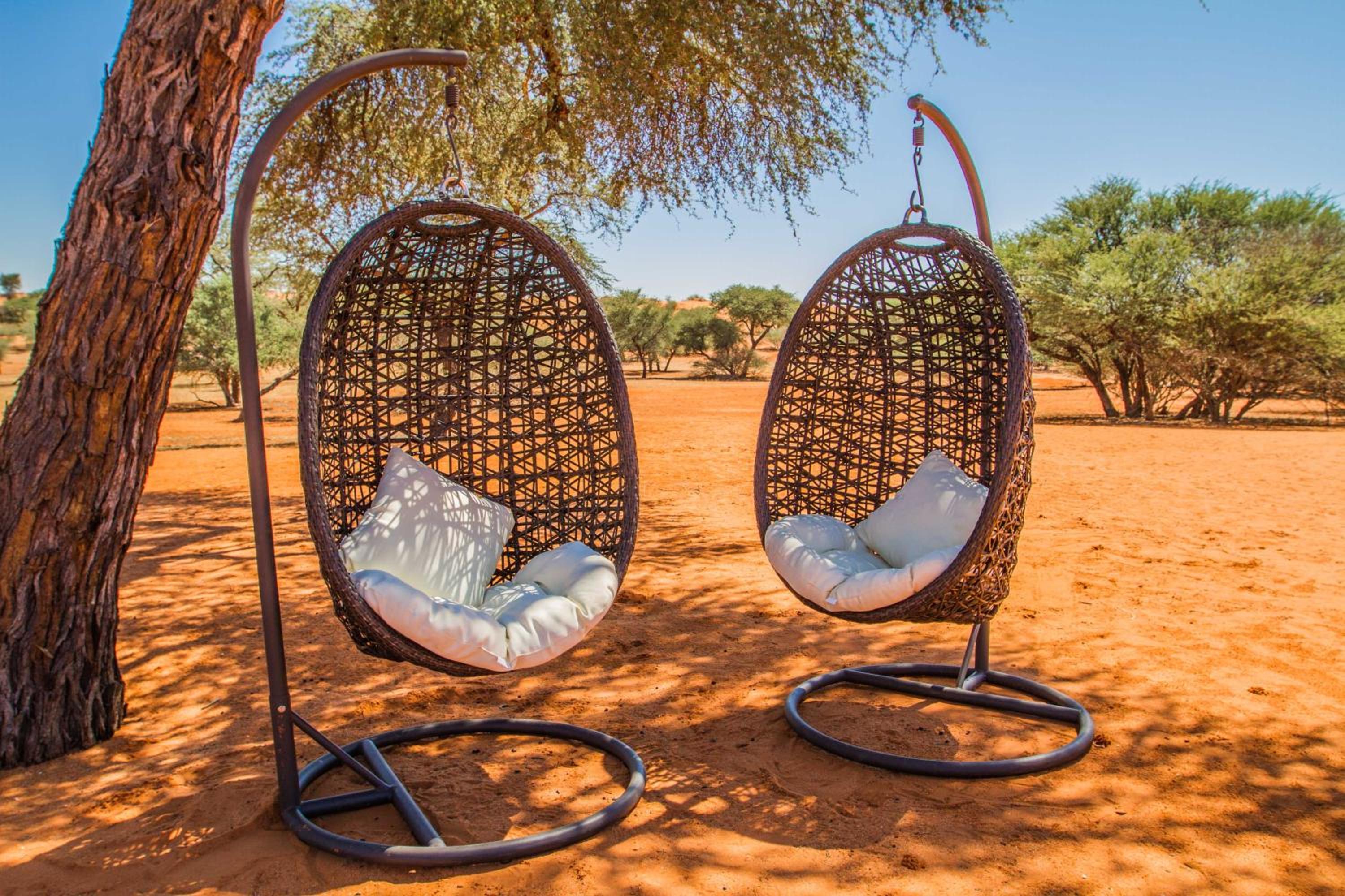 Zebra Kalahari Lodge view 5