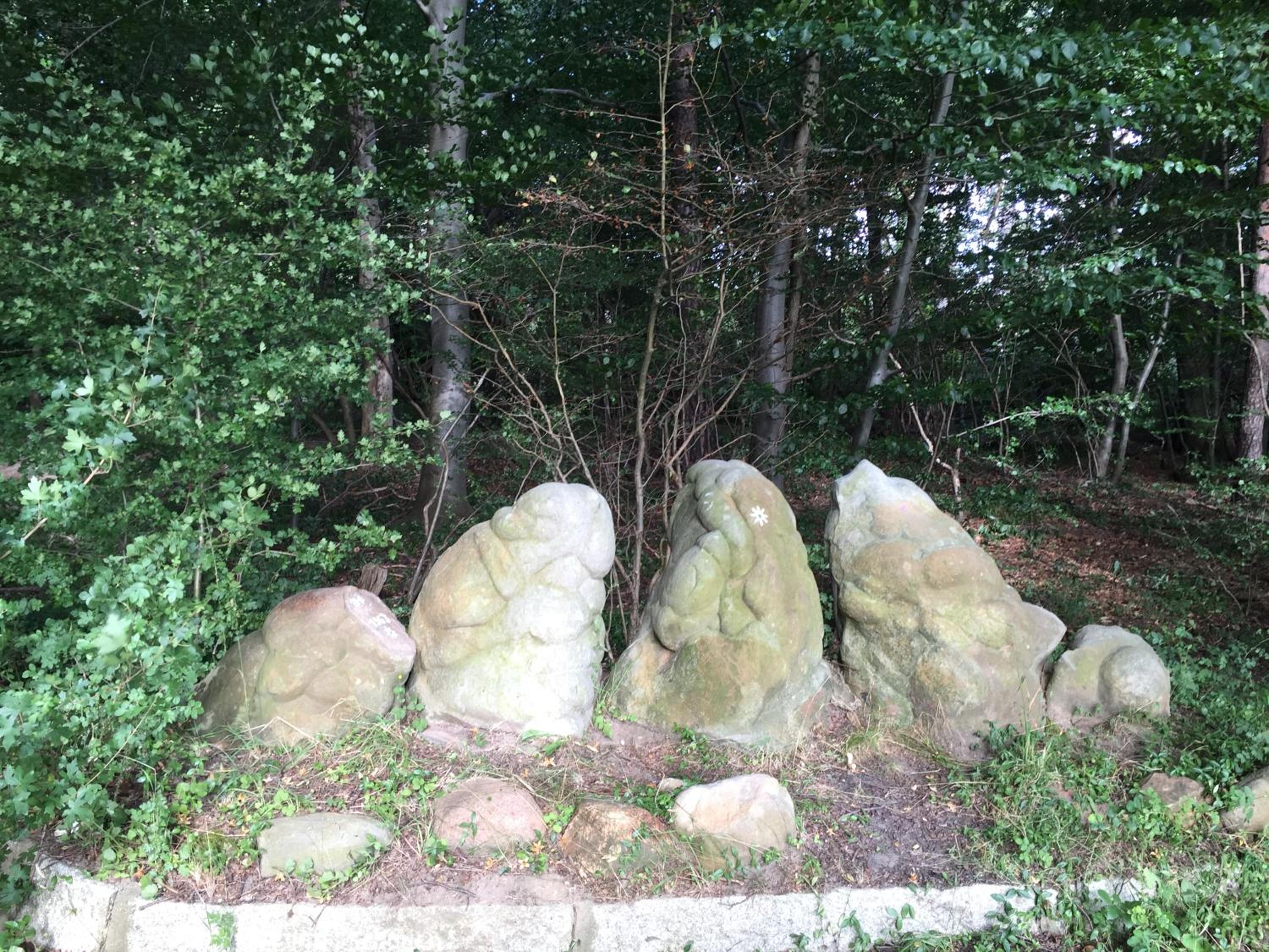 Ferienwohnung Kuckucksnest