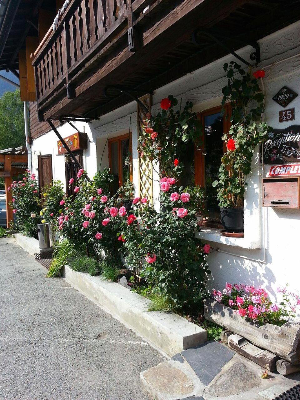 Photo 49
