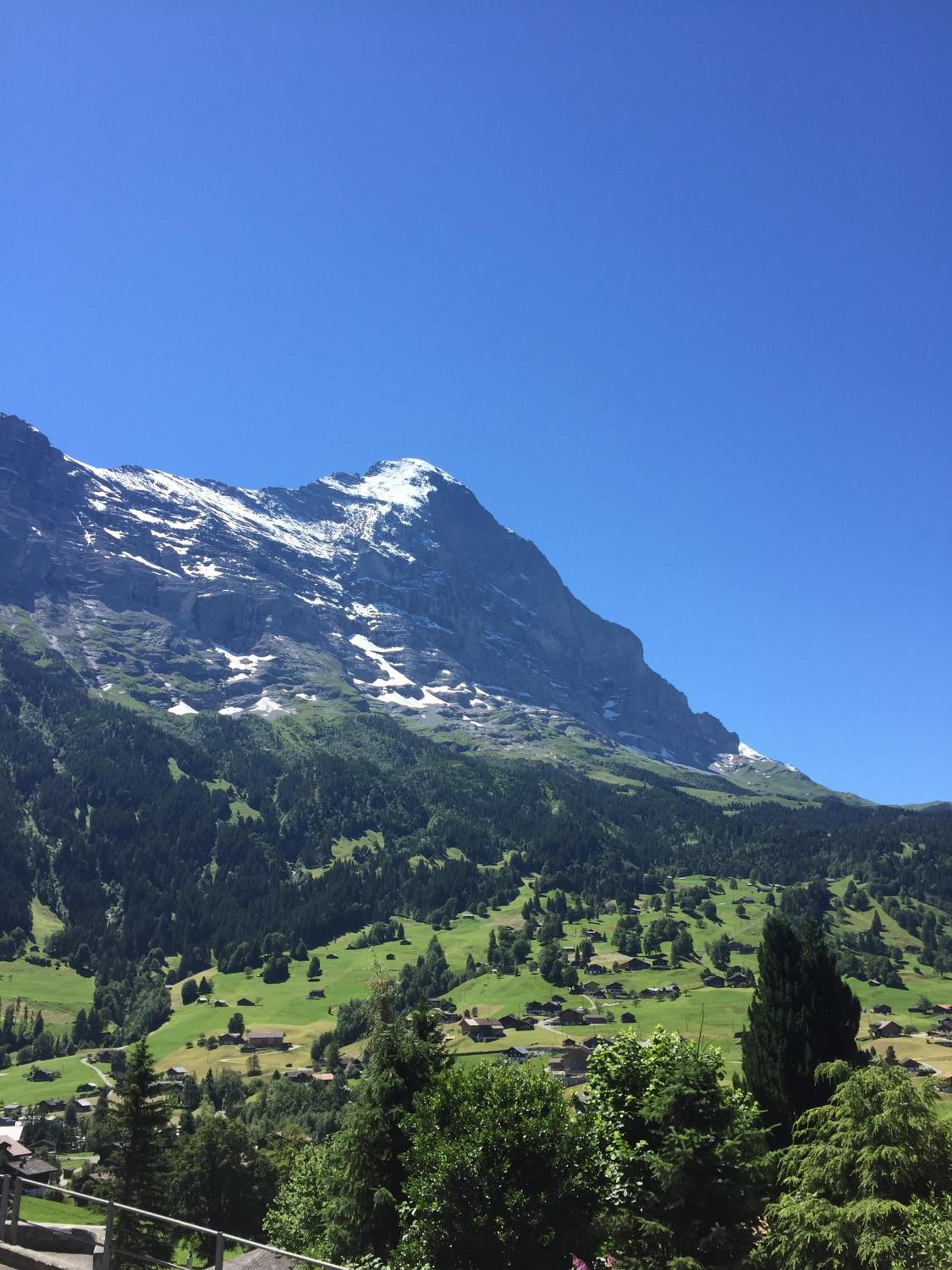 Apartment Jungfrau Lodge