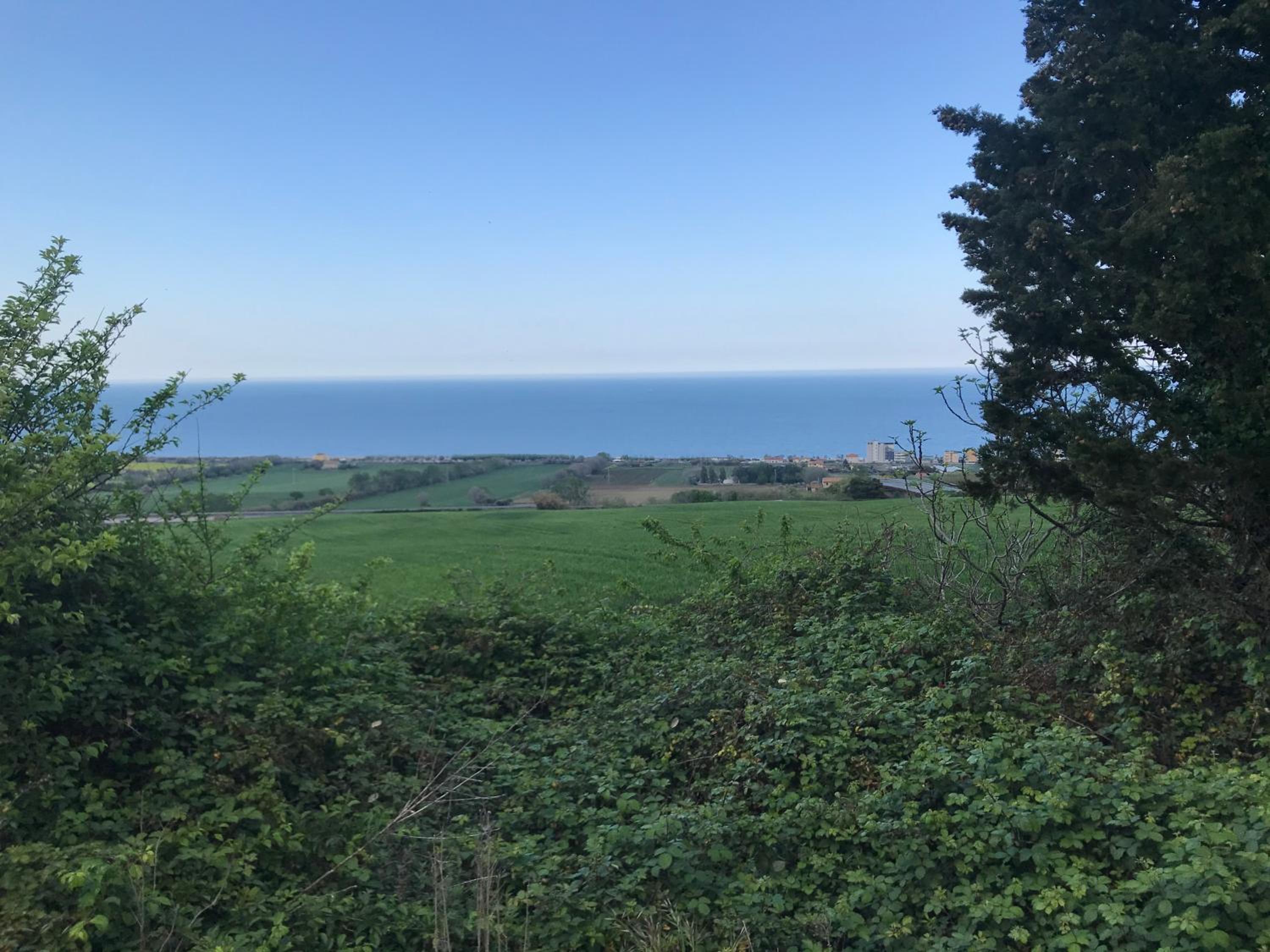 Affittacamere Nonna Bon Bon view 4