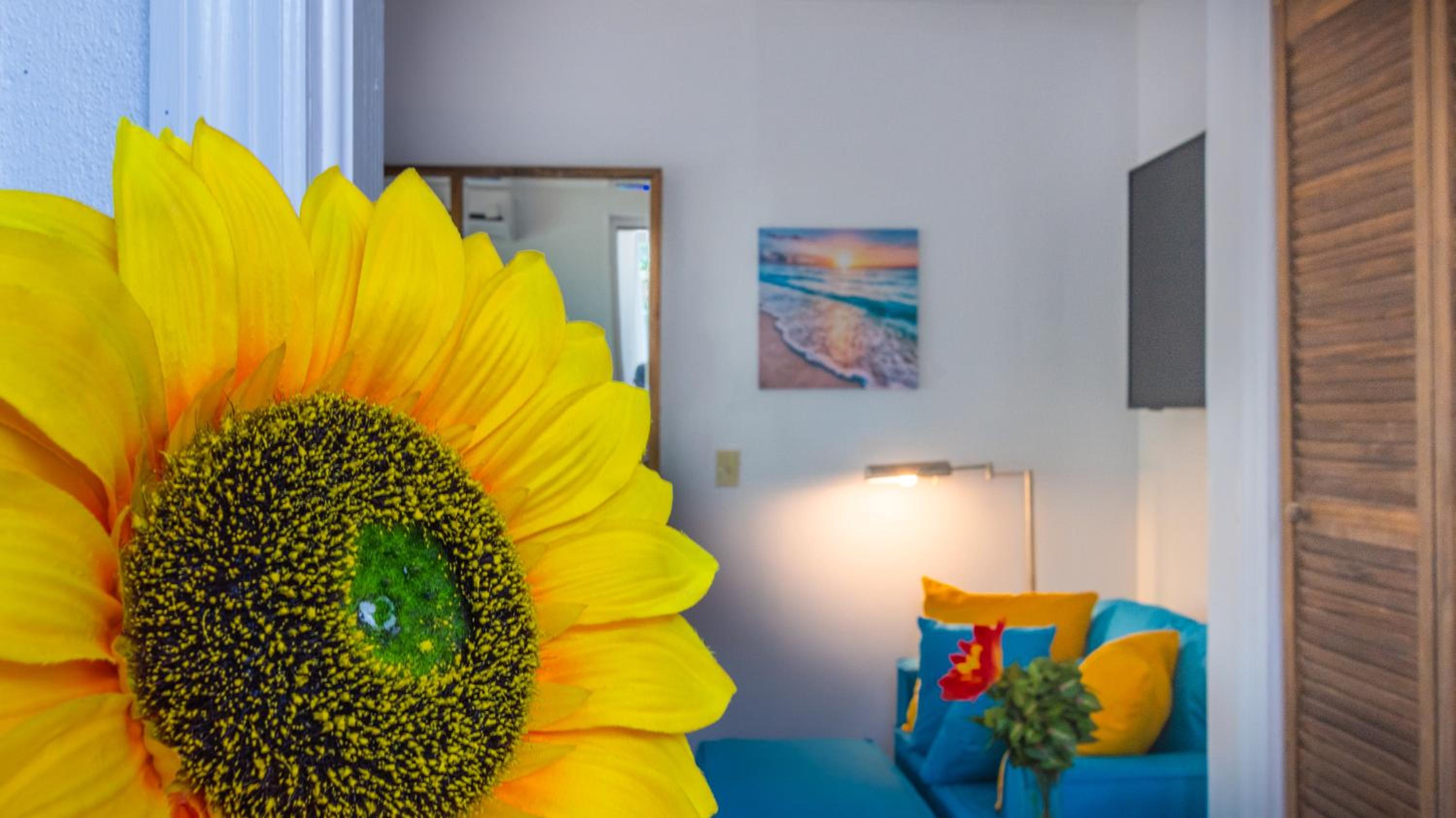 Lemon Cottage - At Orange Hill