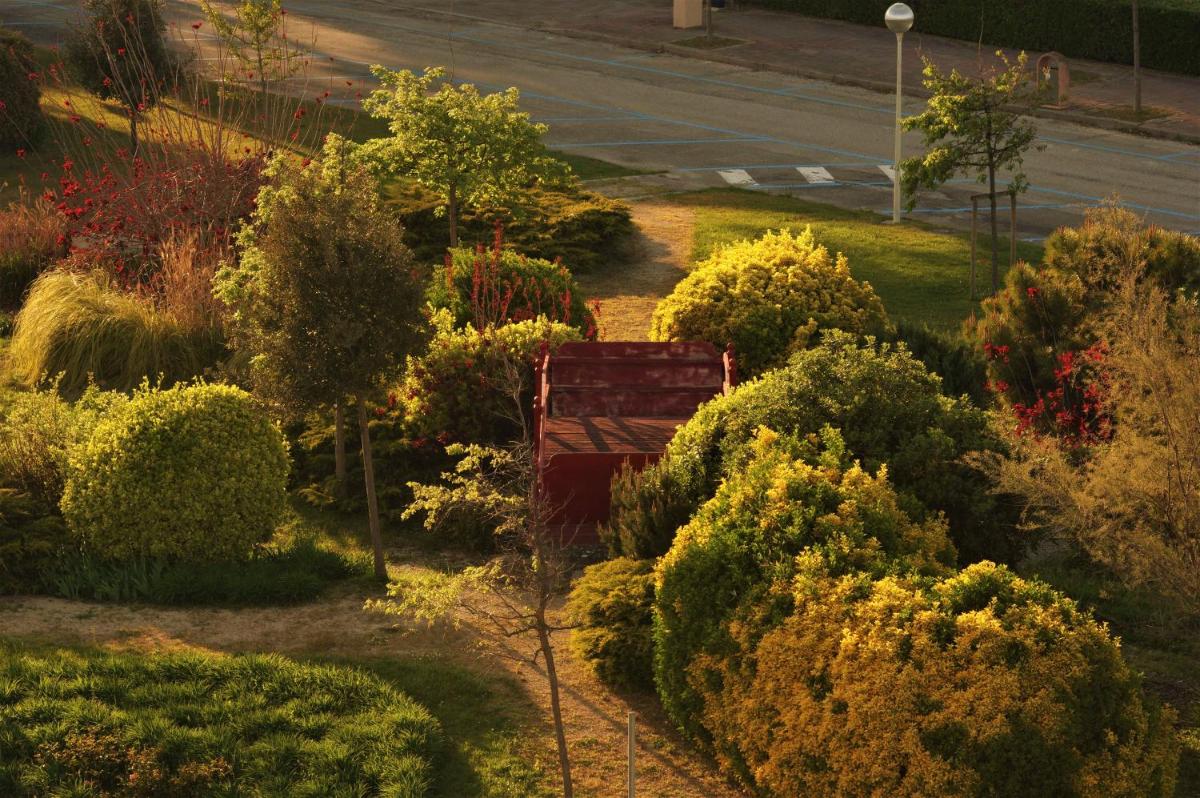 garden