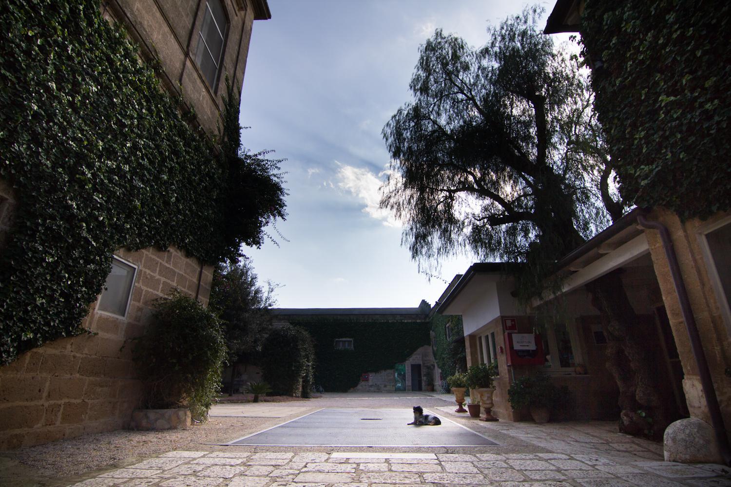 Photo 43