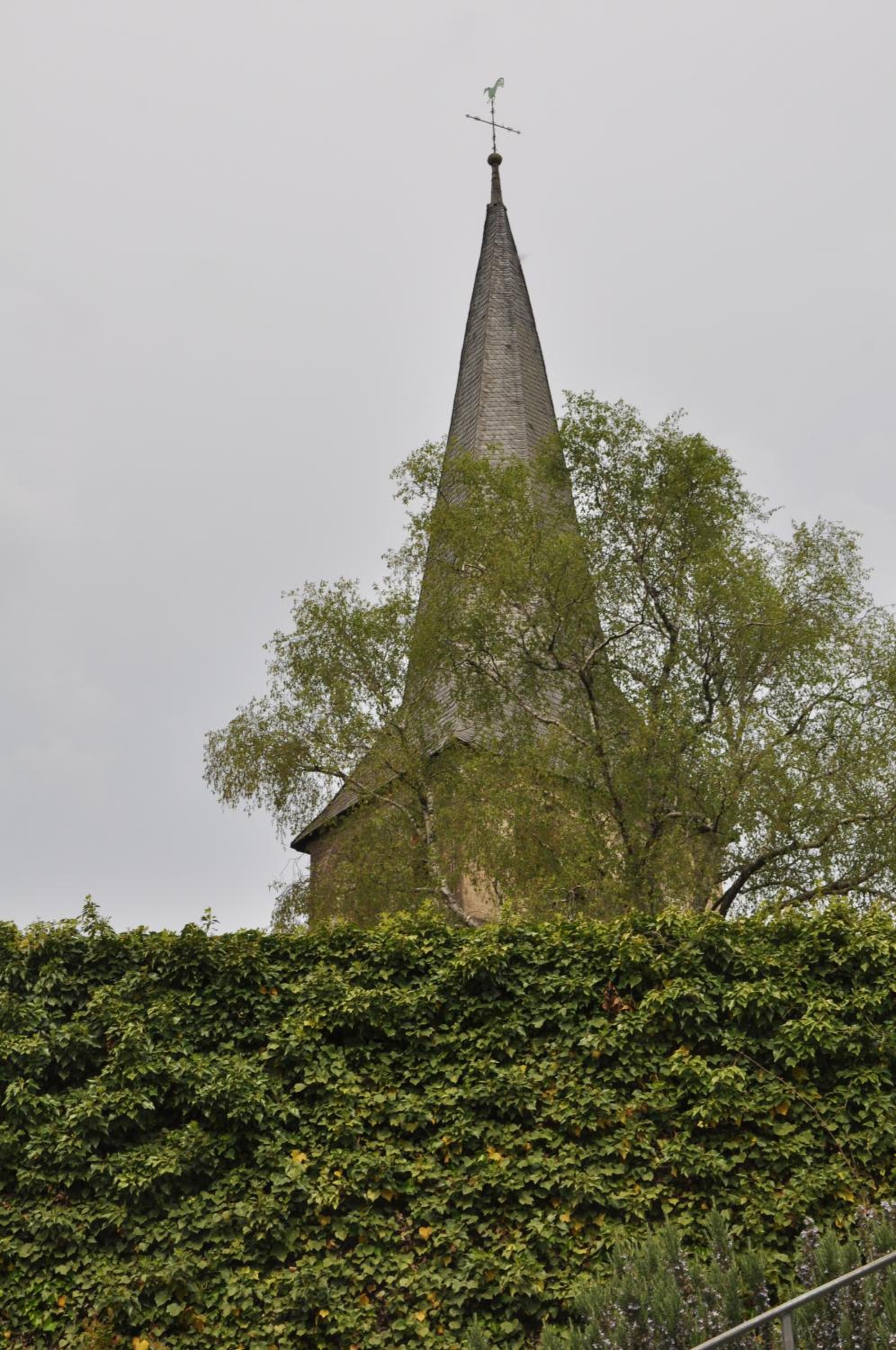 Photo 33