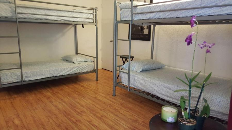 The Beach Waikiki Boutique Hostel