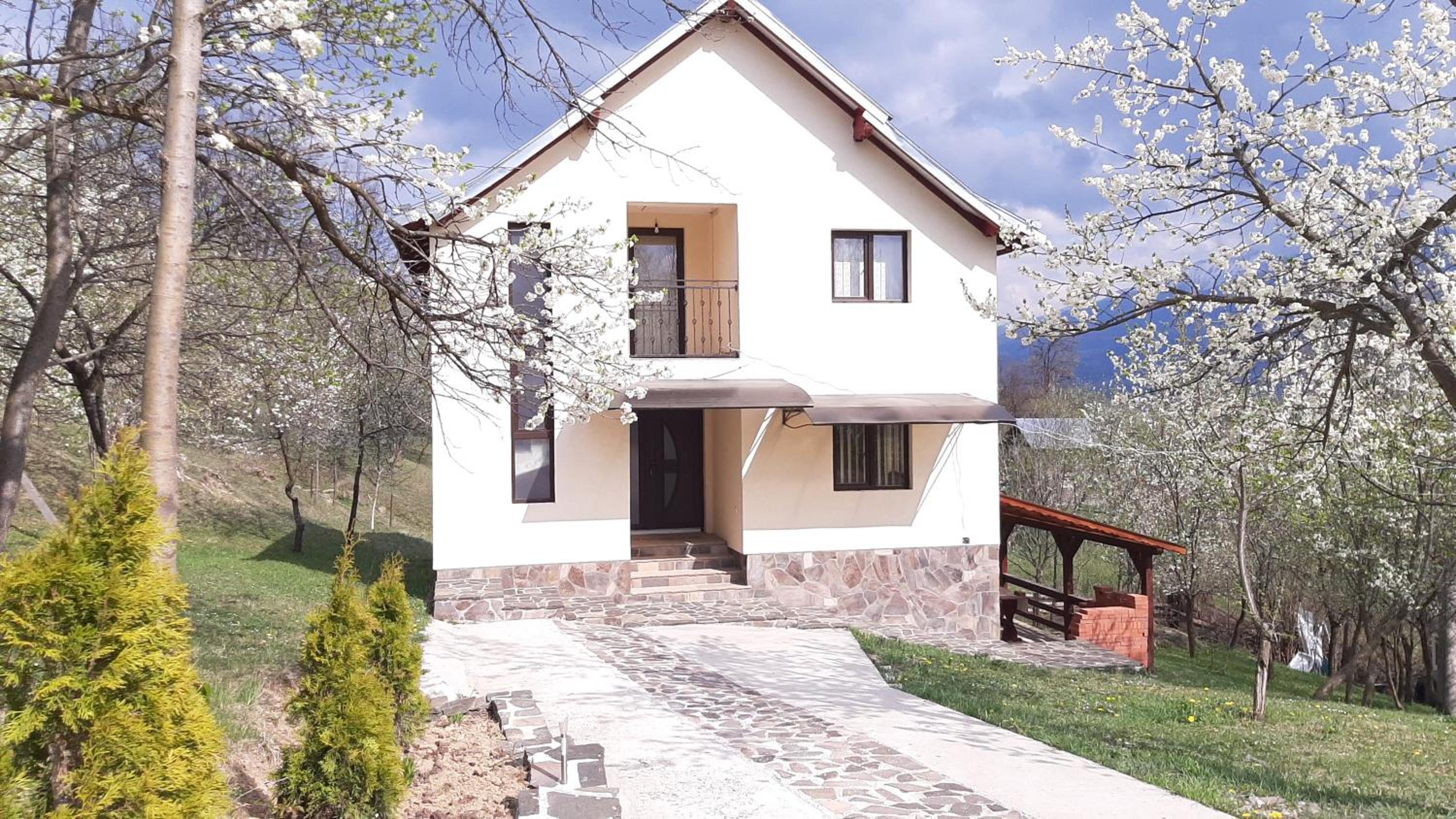 Casa Fluțar view 2
