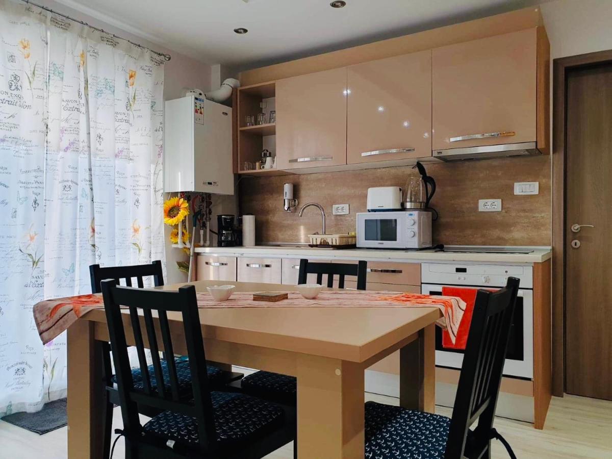 Apartament Manu view 3