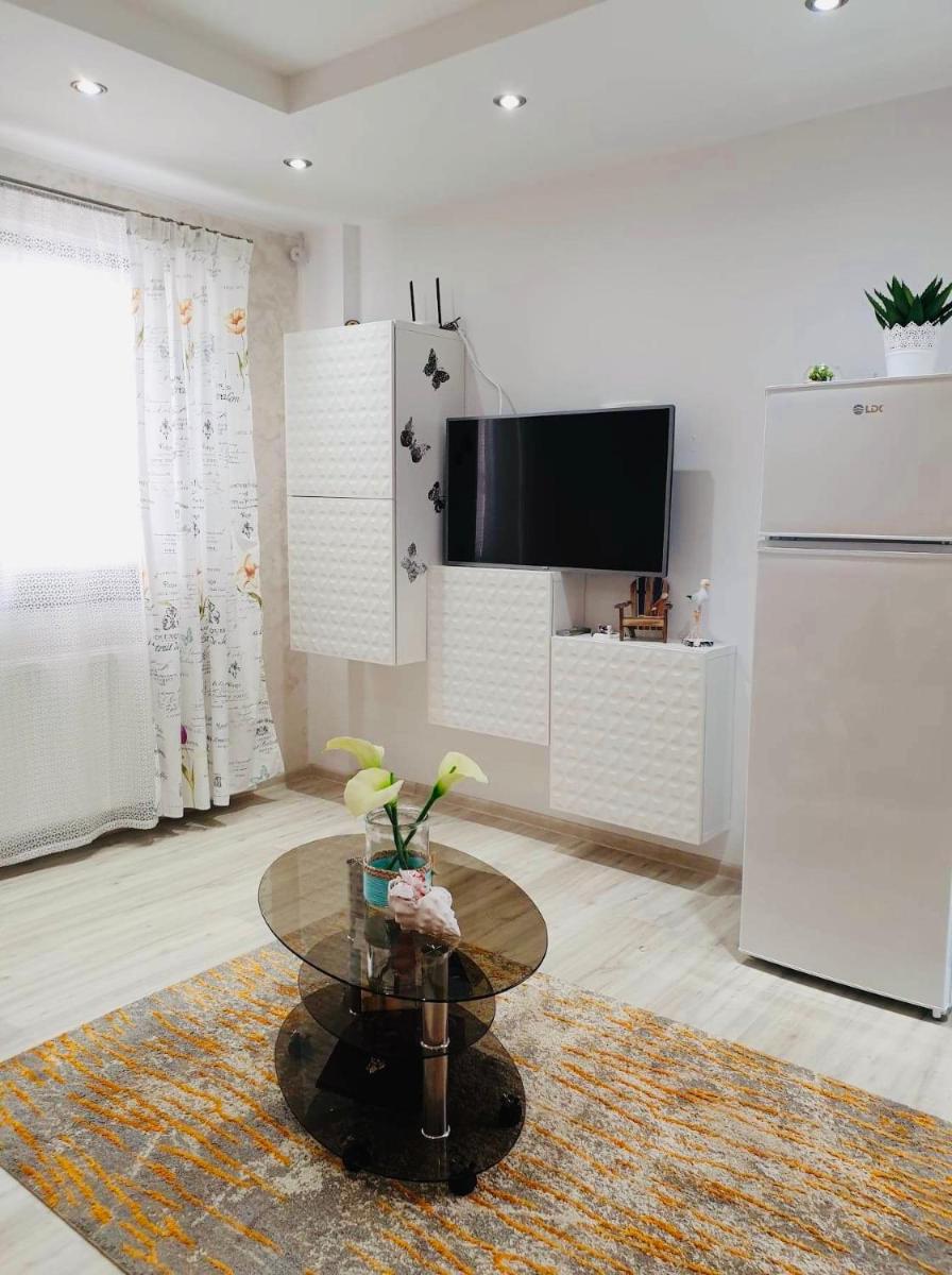 Apartament Manu view 5