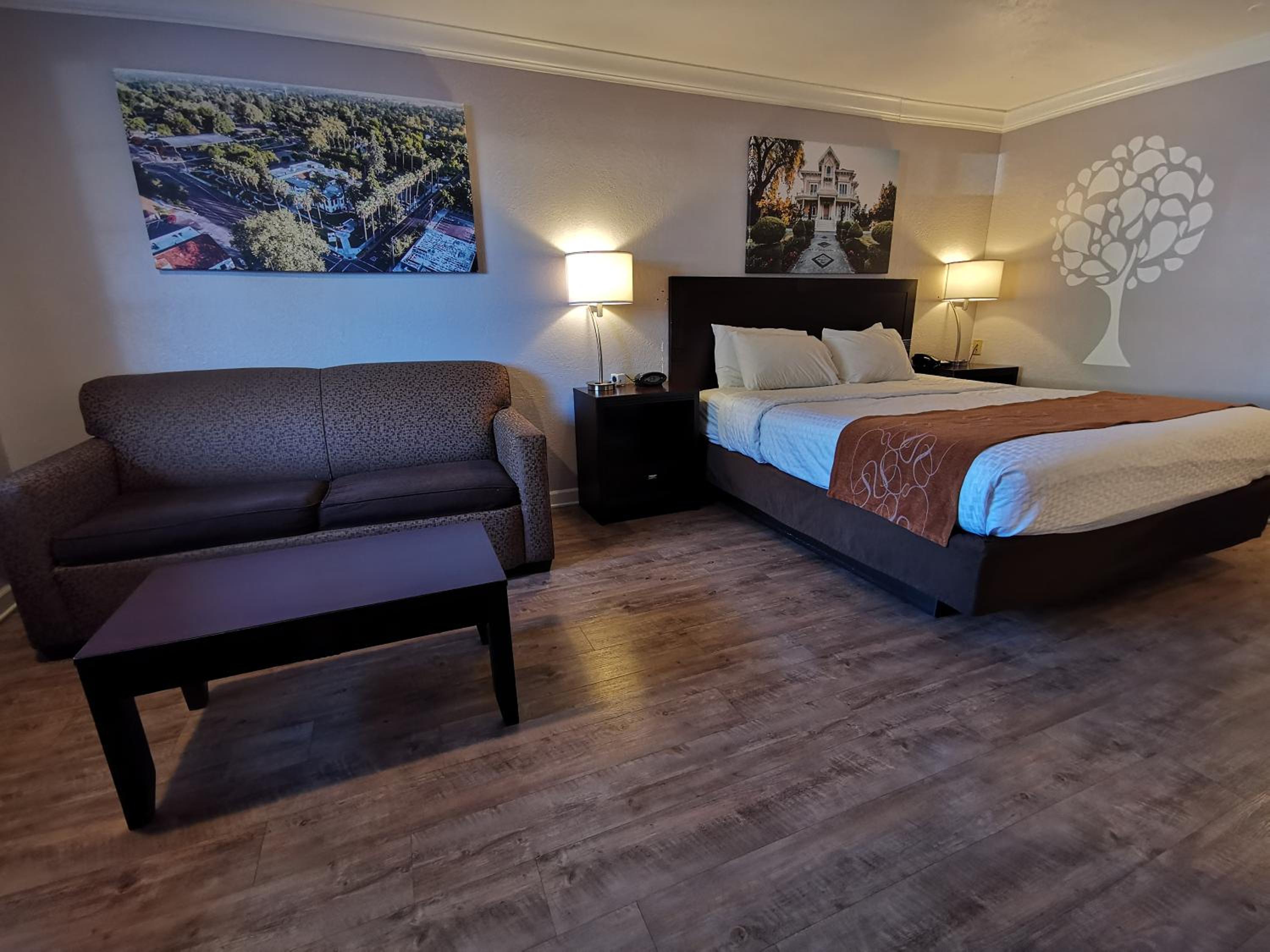 Journey Inn - Property Image 31