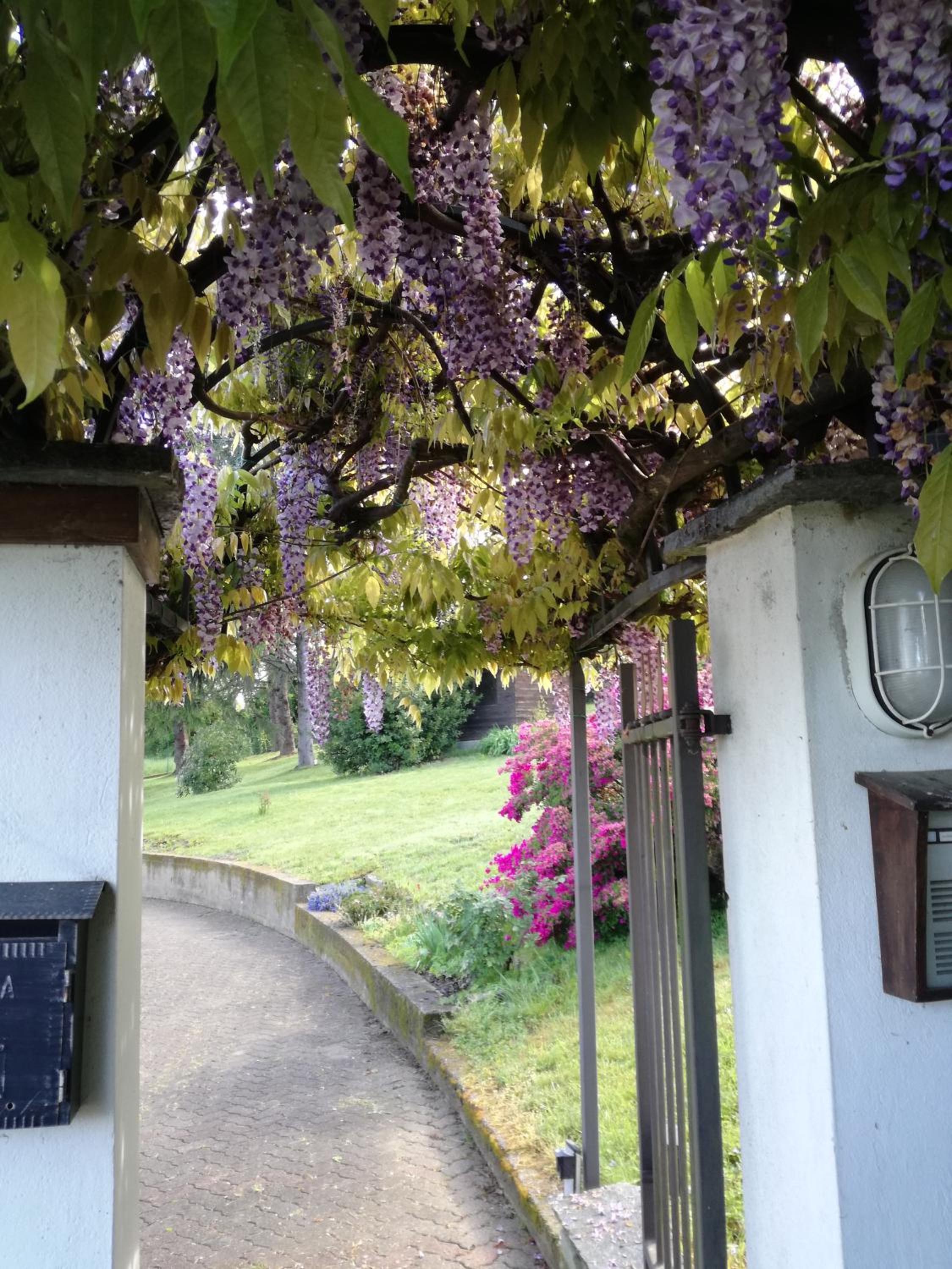 Country Corner Lago Maggiore view 5